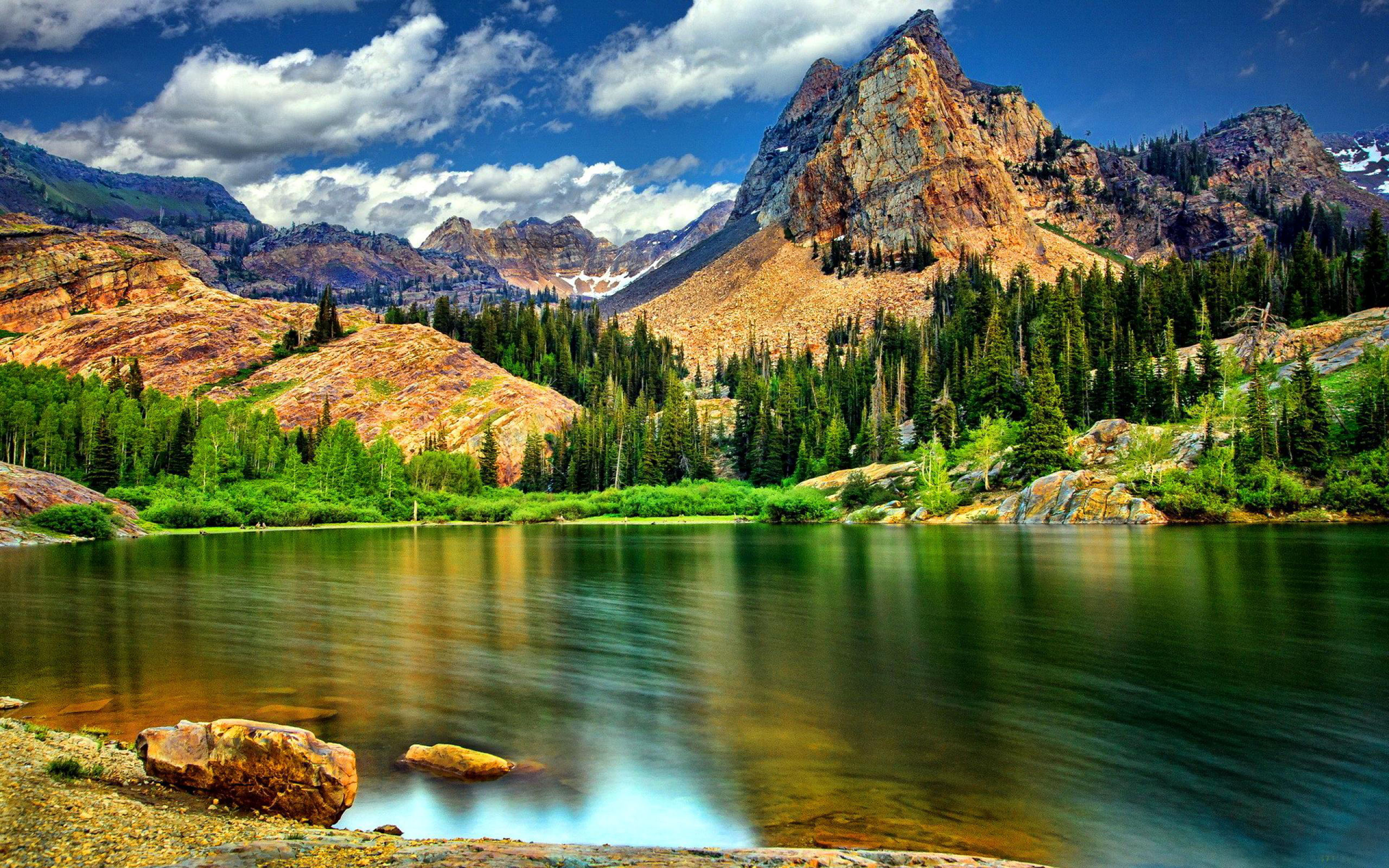 Landscape-nature-rocky mountains with jagged peaks-pine trees-mountain