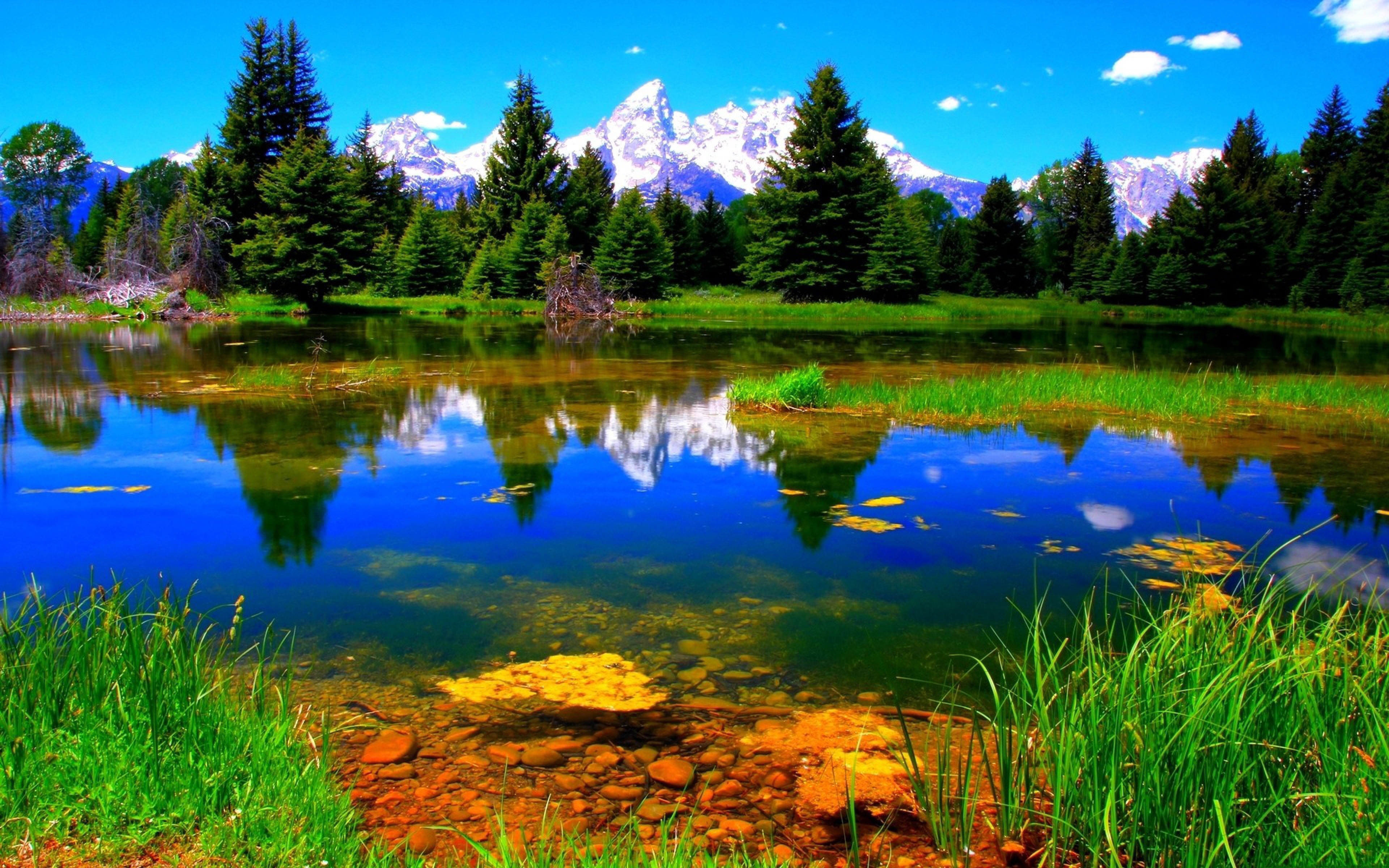 Nature Landscape Lake Green Vegetation Wallpapers Hd 3840x2400