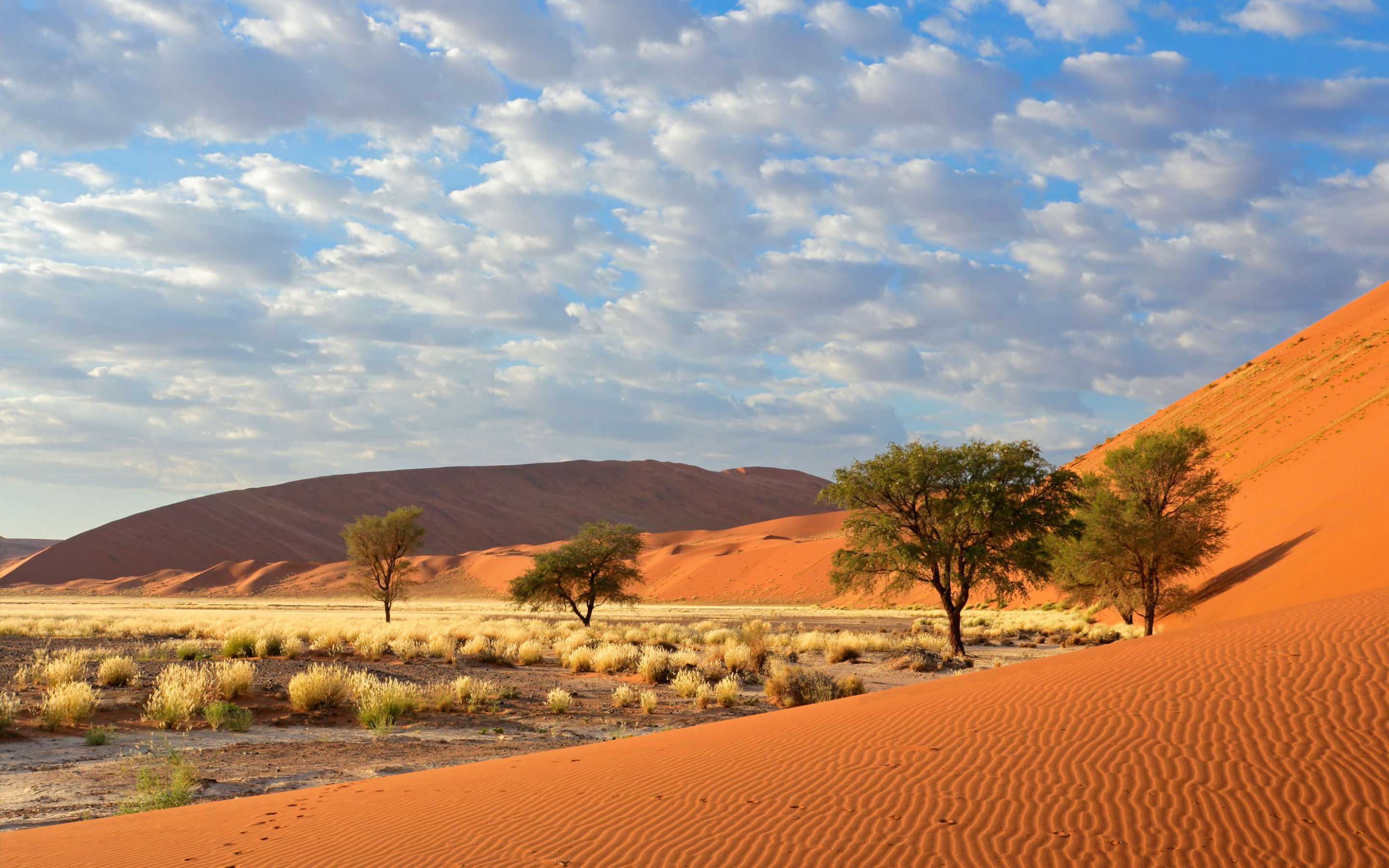 Sossusvlei Namib Naukluft National Park Namibia 1800x2880