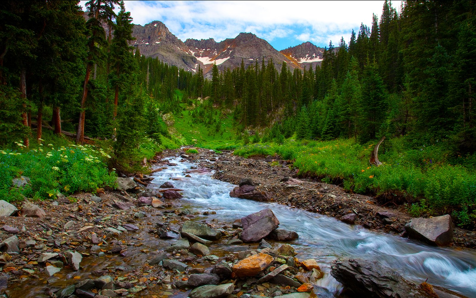 Spring Landscape River Mountain Flowers Pine Forest Hd ...