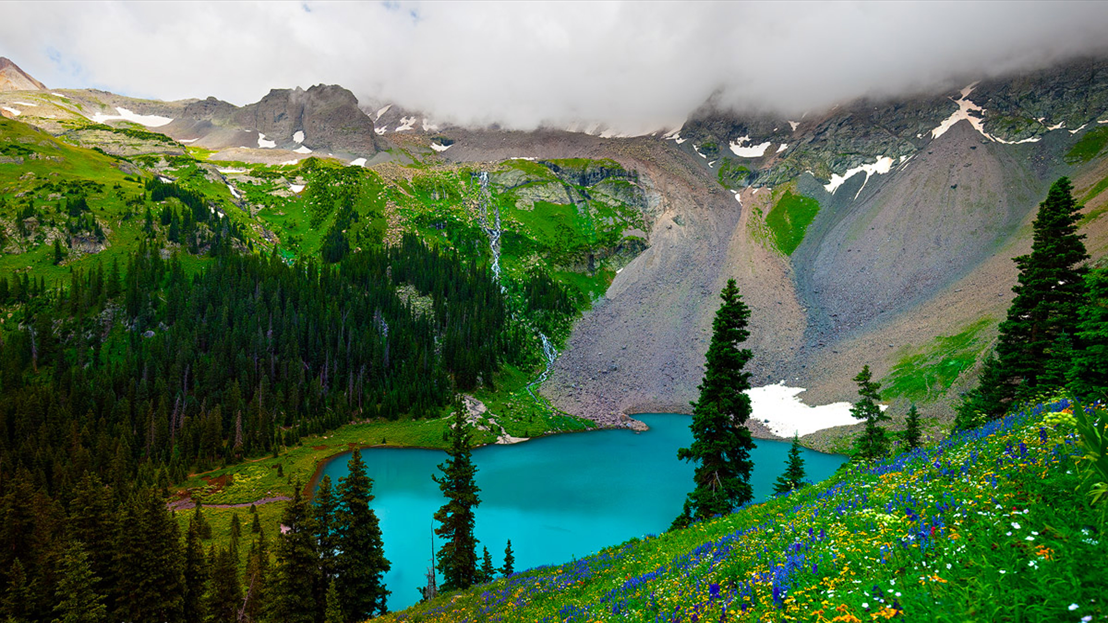 Spring Mountain Landscape, The Turquoise Lake Mountain Forest Flowers