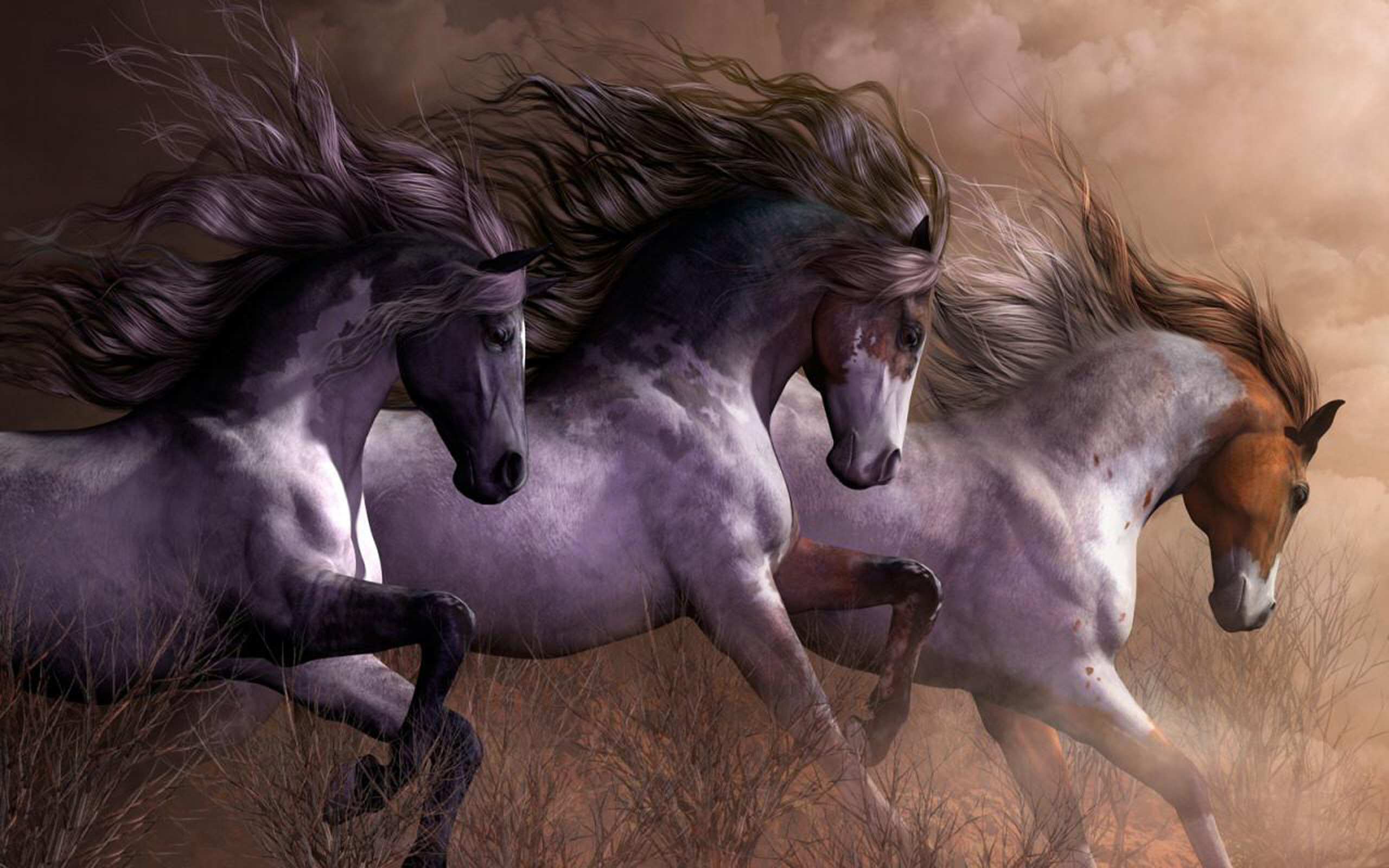 Три лошадки. Лошадь бежит. Обои лошади. Заставка на рабочий стол лошади. Красивый фон с лошадьми.