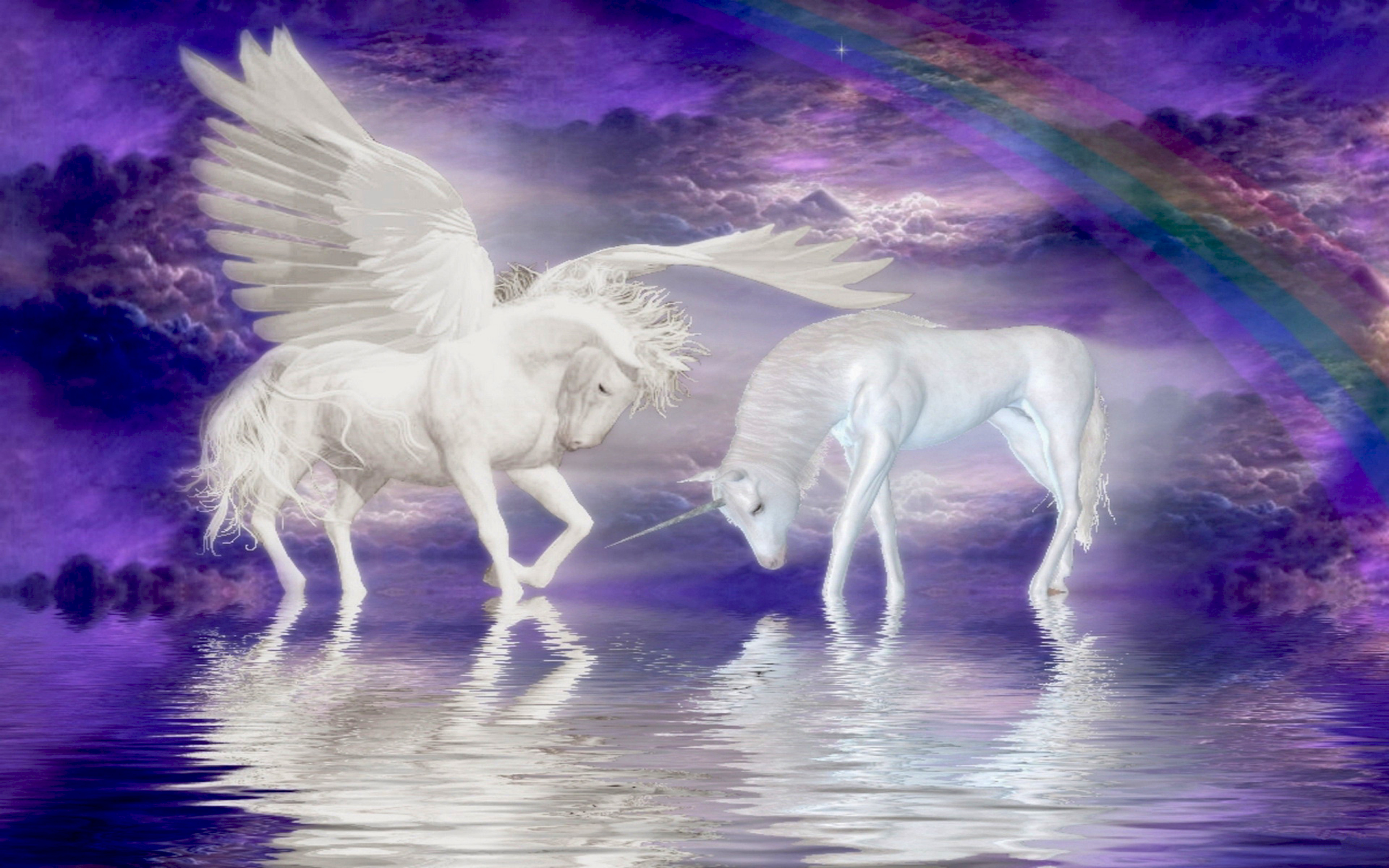 Unicorns Horse Cloud Rainbow Fantasy Wallpaper For Your Computer