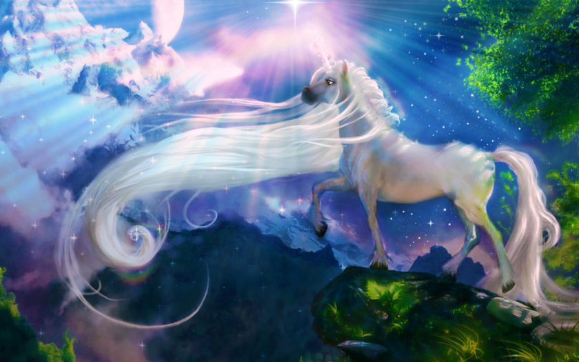 White Horse Unicorn Fantasy Art Wallpaper Hd : 