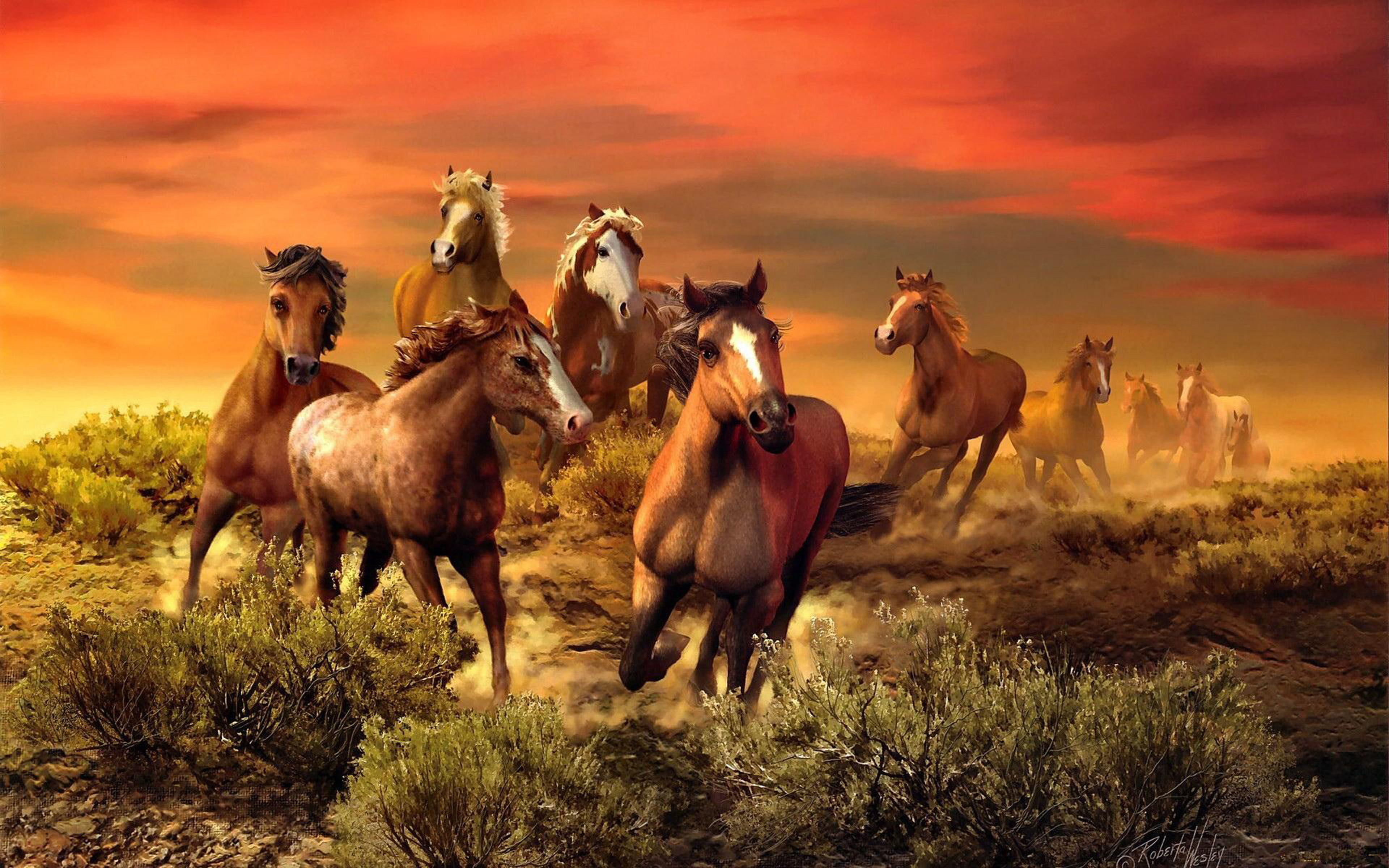 Wild Horses Field Bush Fire Red Sky Wallpaper Hd : Wallpapers13.com