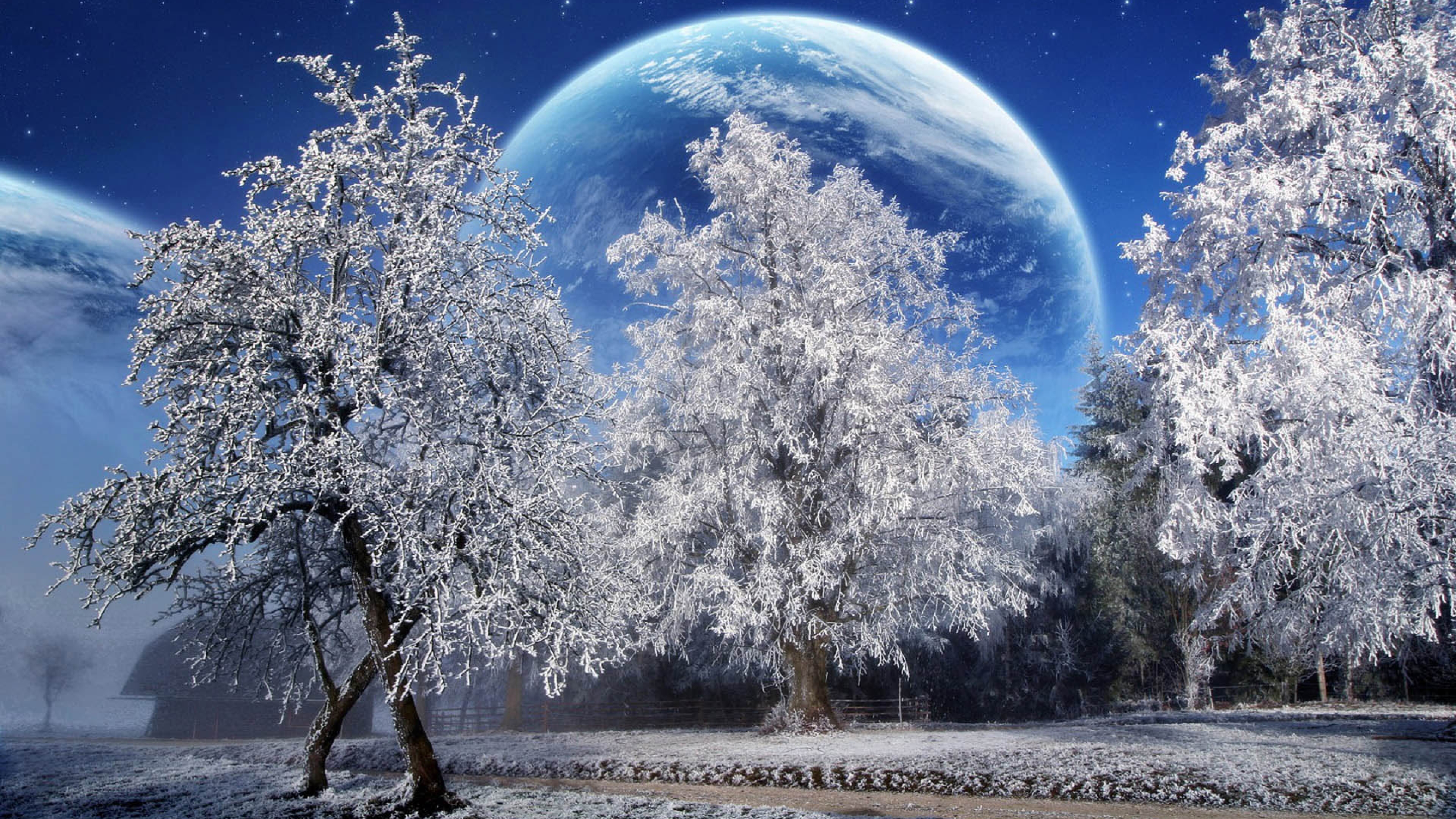 Winter Snow Full Moon High Resolution Hd Wallpapers 3840x2160 :  