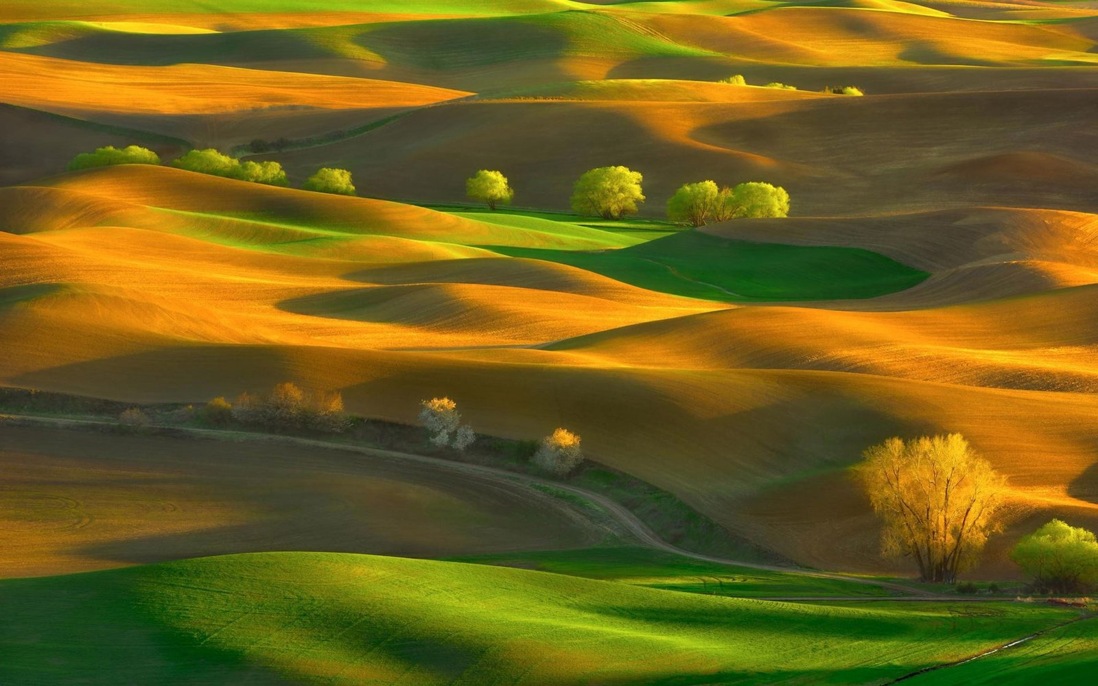 Желтые холмы. Холмы Palouse, США. Зелёные холмы Гринфилд. Абстрактный пейзаж. Пейзаж холмы.