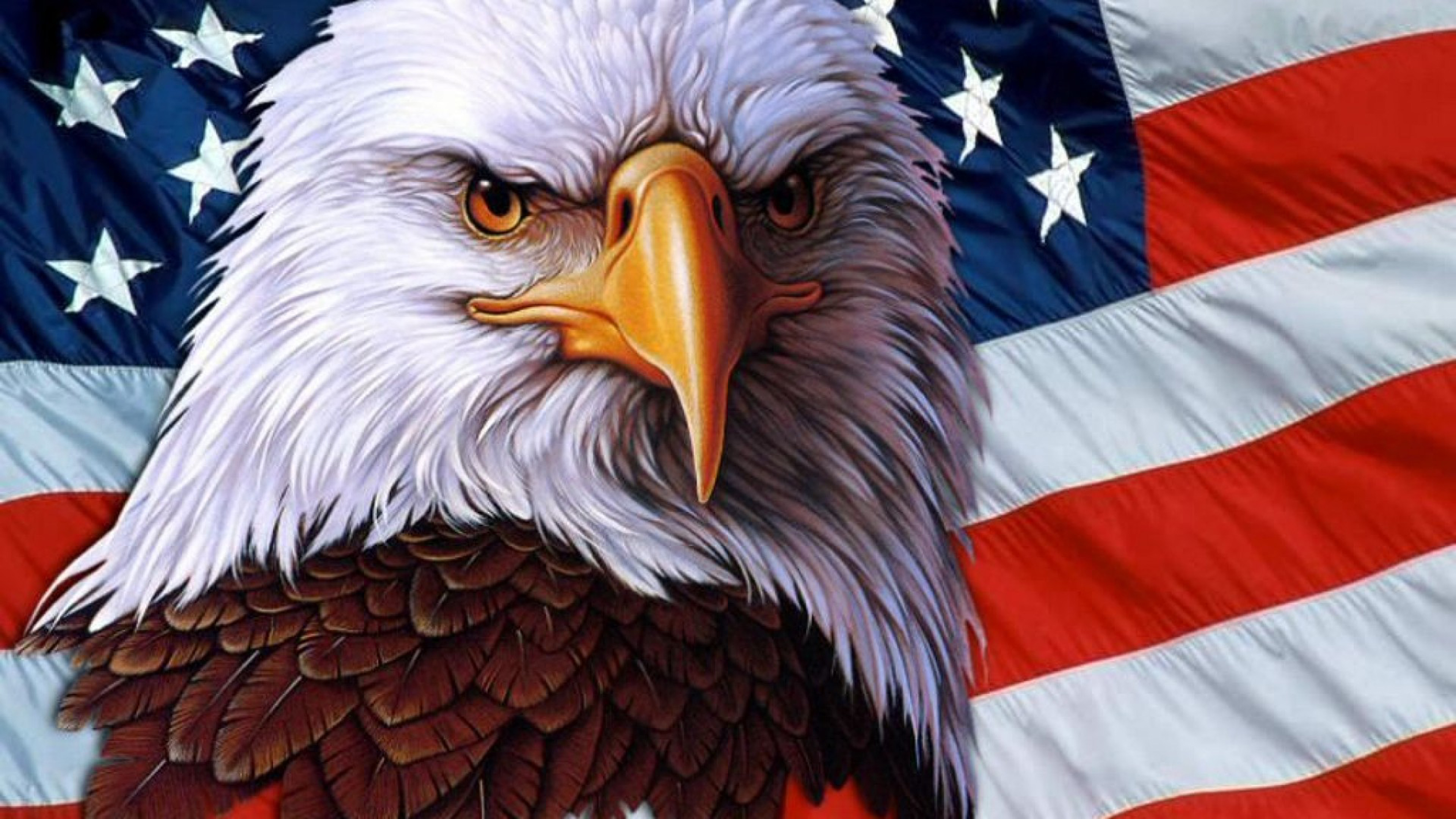 American Eagle Symbol Usa Independence Freedom 3840x216 : Wallpapers13.com
