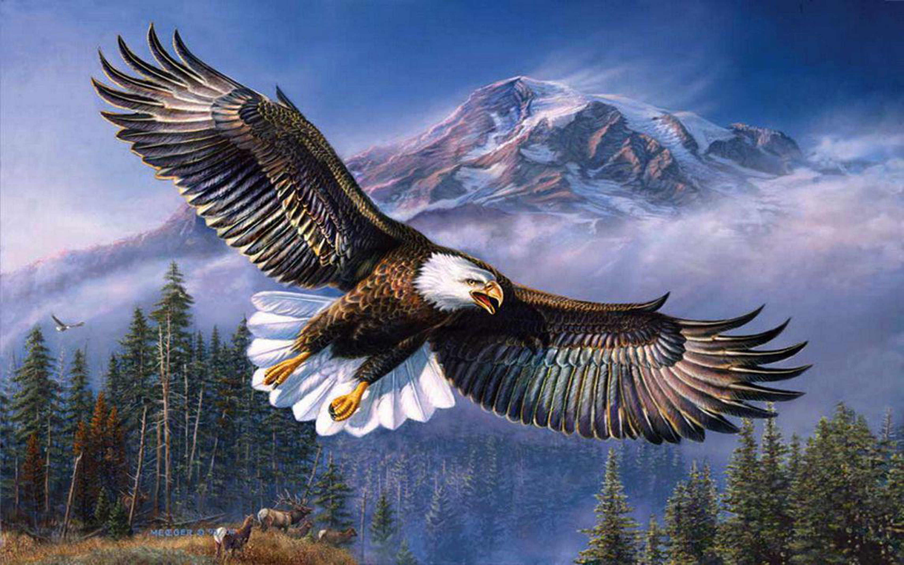 Beautiful Background Bald Eagle In Flight, Wings Spread Hd Wallpapers