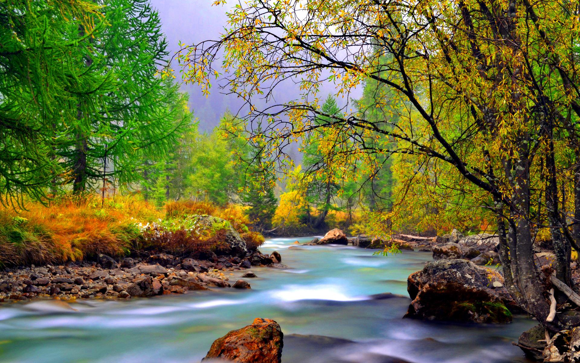 Mountain River With Rocks Rocks Yellowed Grass Evergreen And Deciduous
