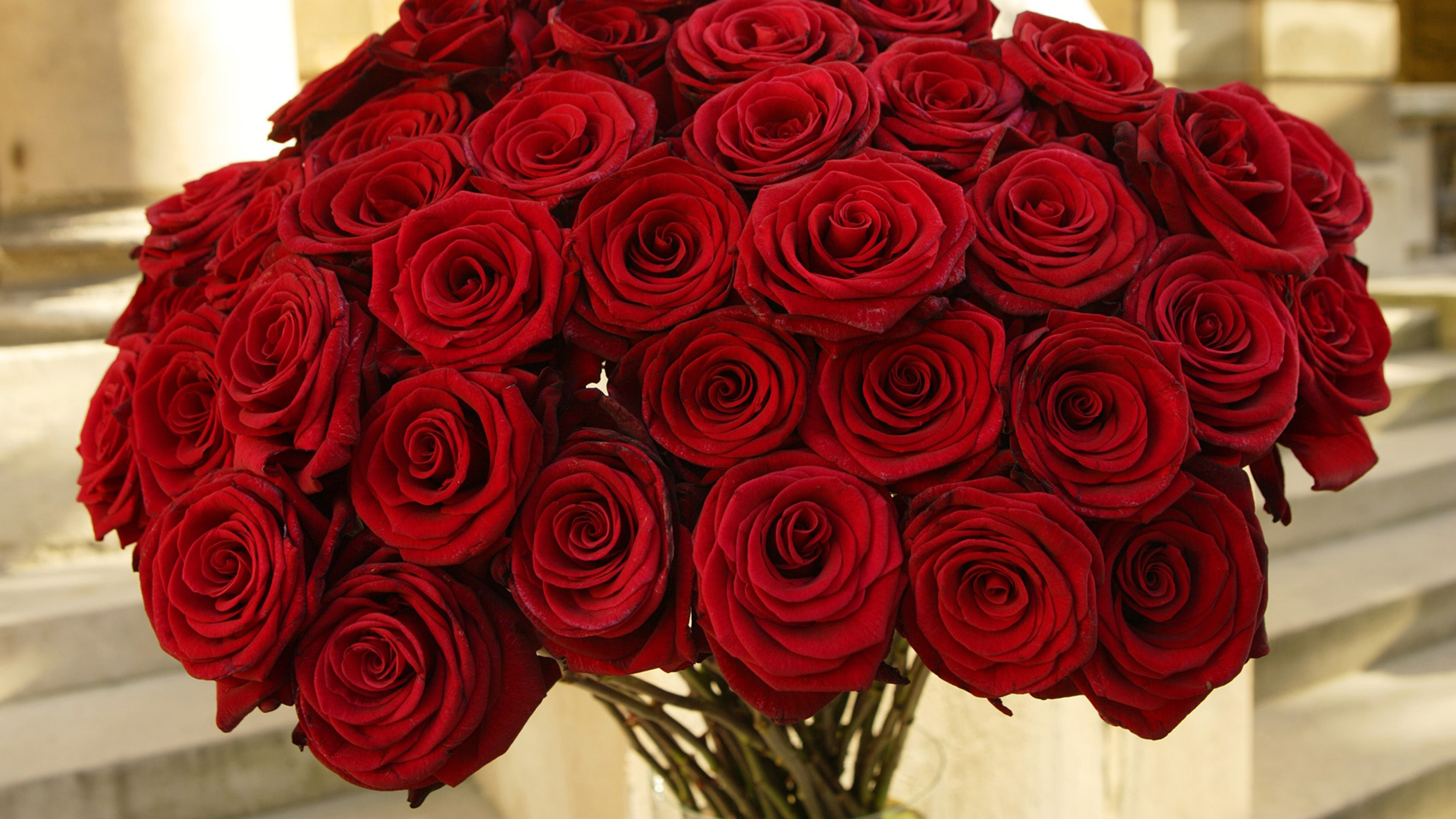 Розый. Чиройлик Гулар. Шикарный букет роз. Шикарный букет красных роз.