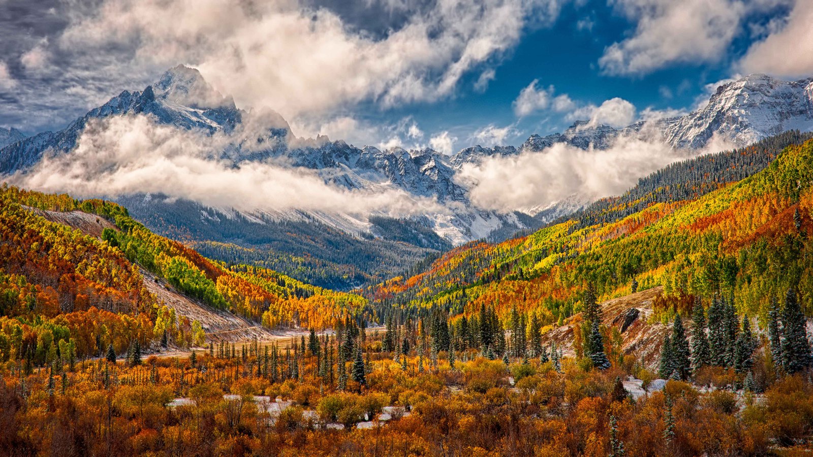 Wonderful Autumn Landscape Forest Yellow White Fog Vapor Cloud