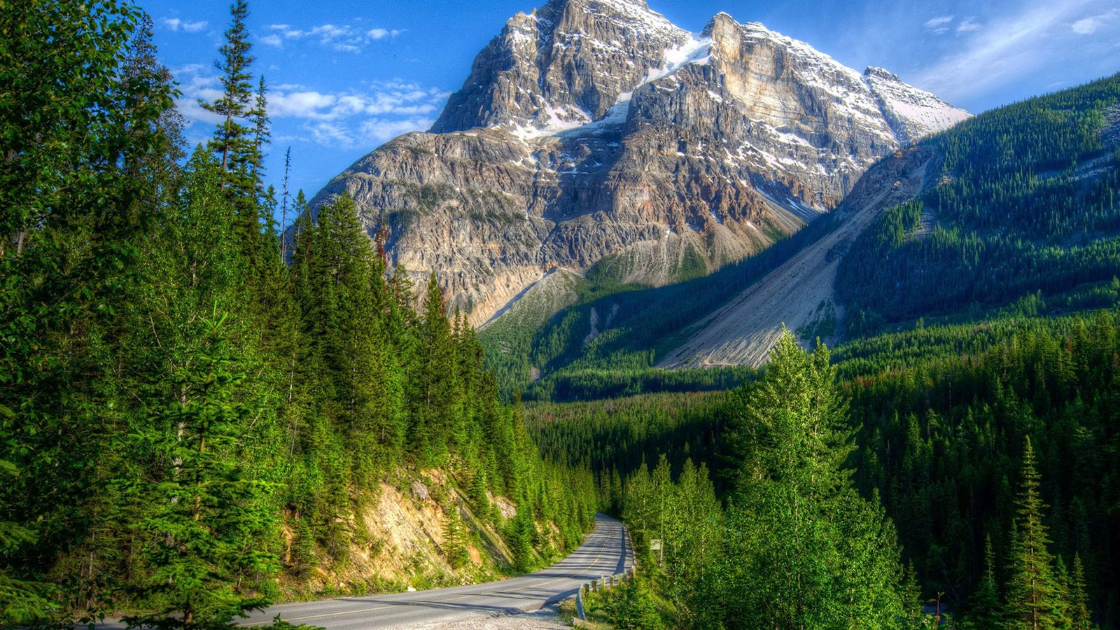 Beautiful Mountain Landscape Green Pine Forest High Mountain Peaks With