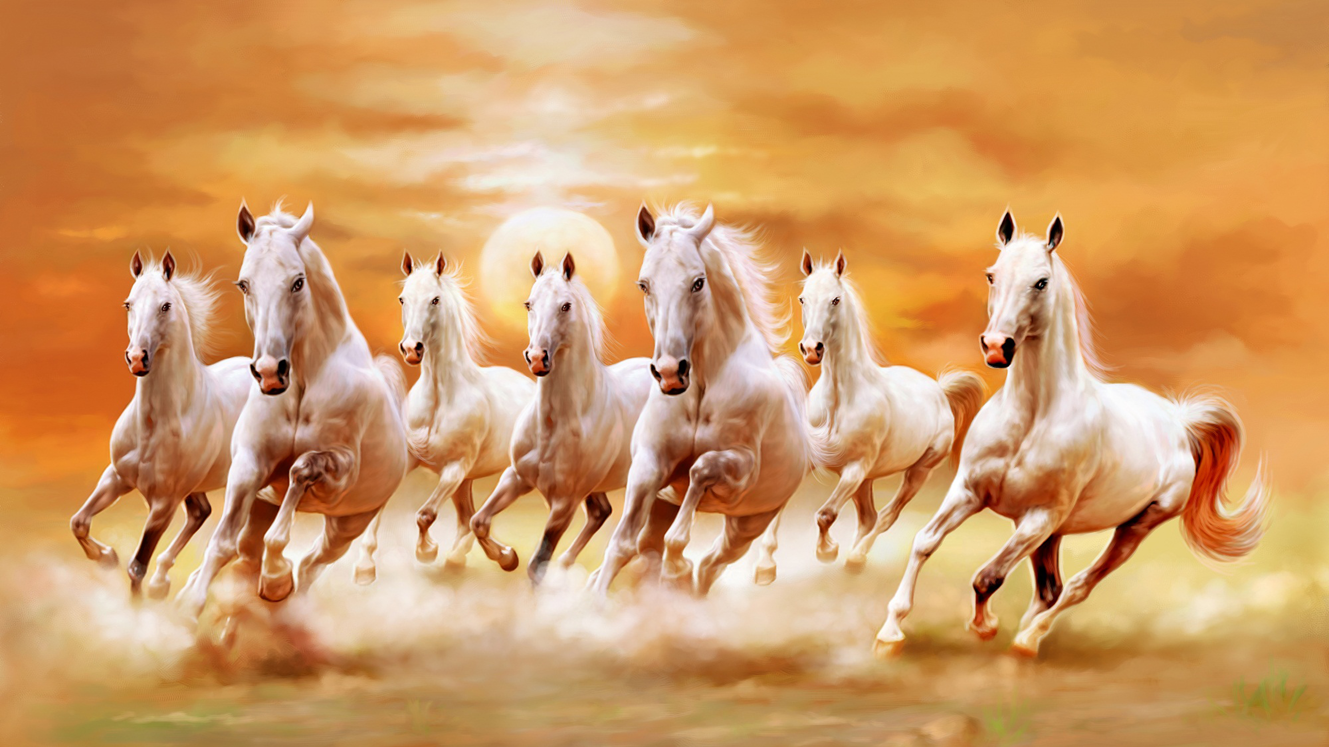 Beautiful White Horses Galloping Orange Sunset Sky Ultra Hd Wallpaper