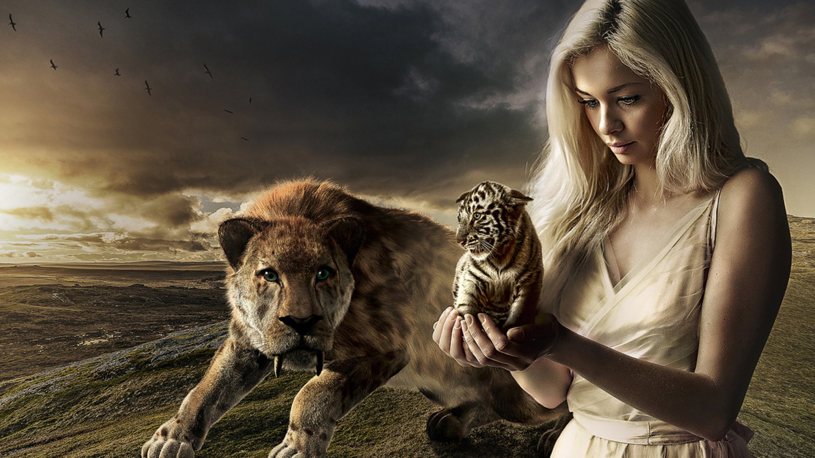 Blue Girl  With Tiger Desktop  Wallpaper  Hd  For Mobile 