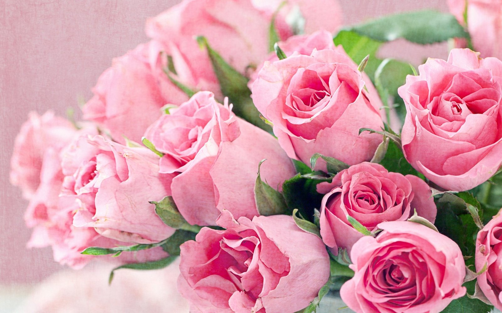 Fresh Flowers  Bouquet Of Pink Roses  Hd  Desktop Backgrounds  