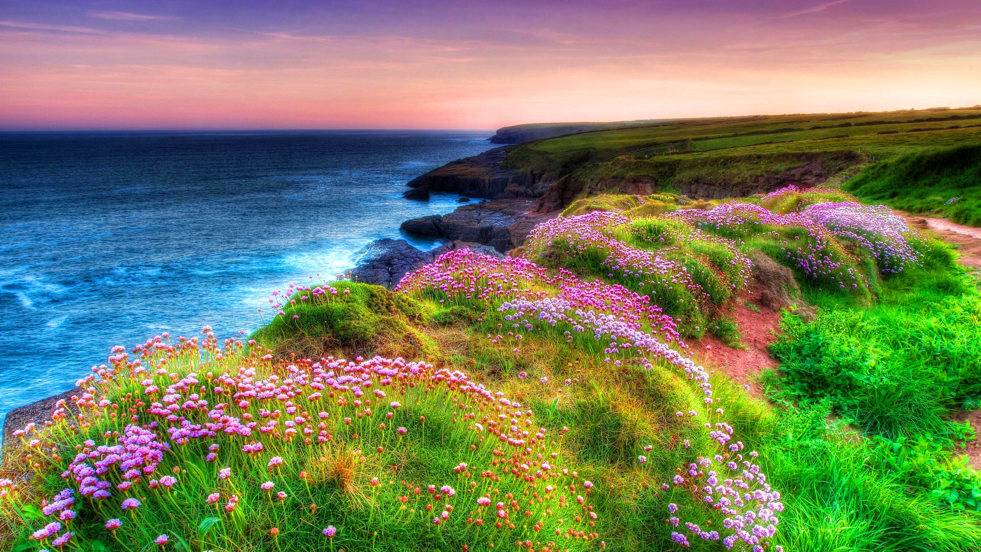 Landscape Ocean Shore Sea Green Grass, Spring Flowers Dunmore East ...