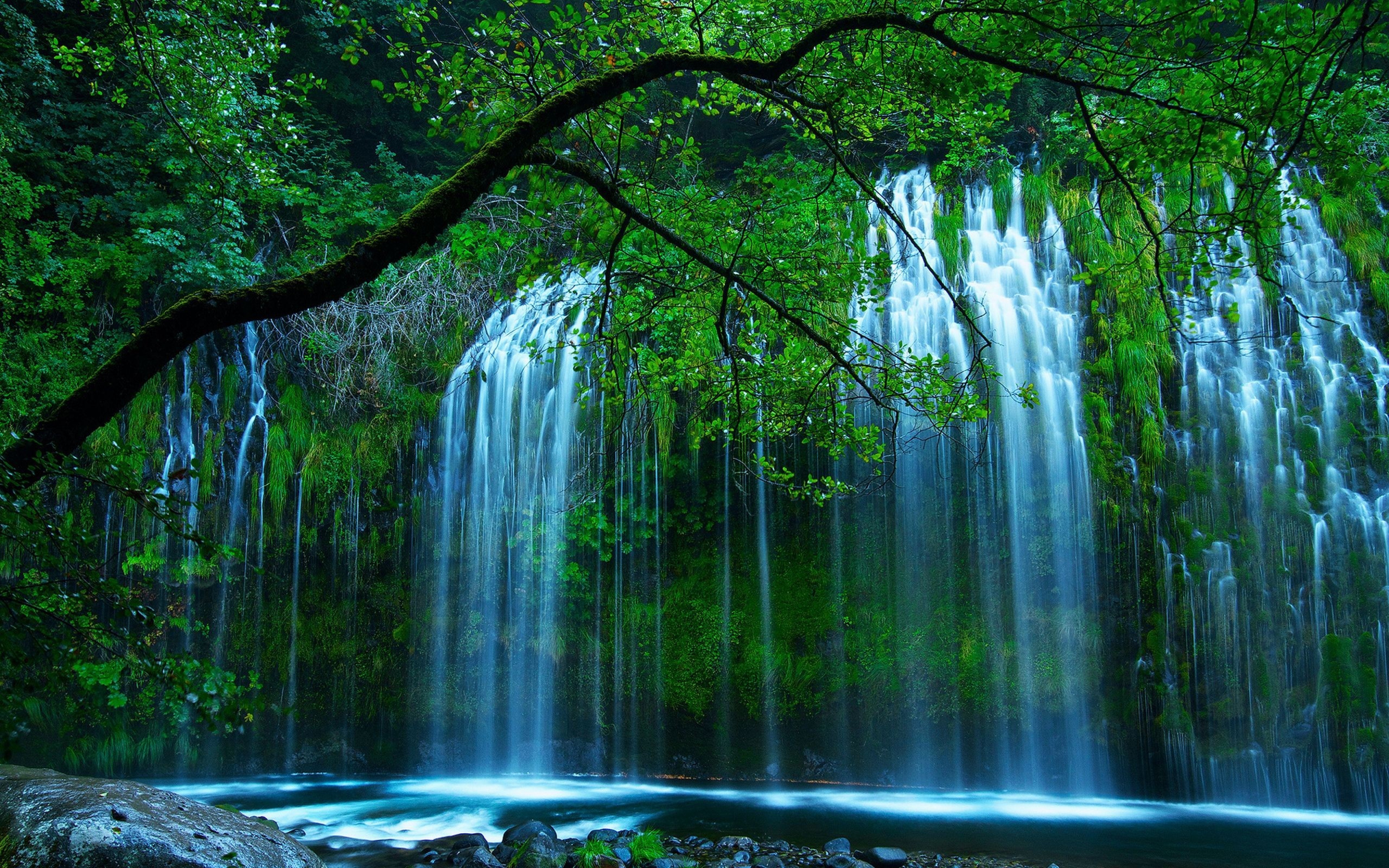 Natural Beauty Beautiful Waterfall Drop Of Water Through The Dense Green  Bush Forming River Tree With Green Leaves Wallpaper For Desktop :  