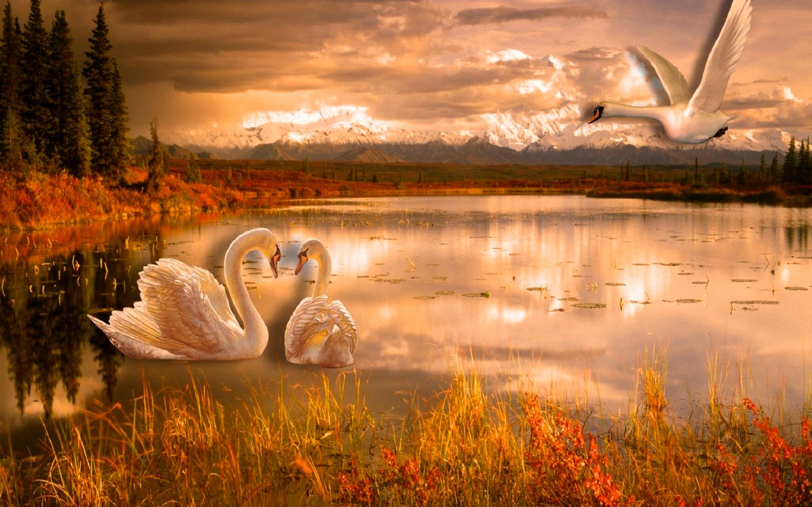 Swan Lake Romance Desktop Wallpaper Hd 3840x2400 : Wallpapers13.com