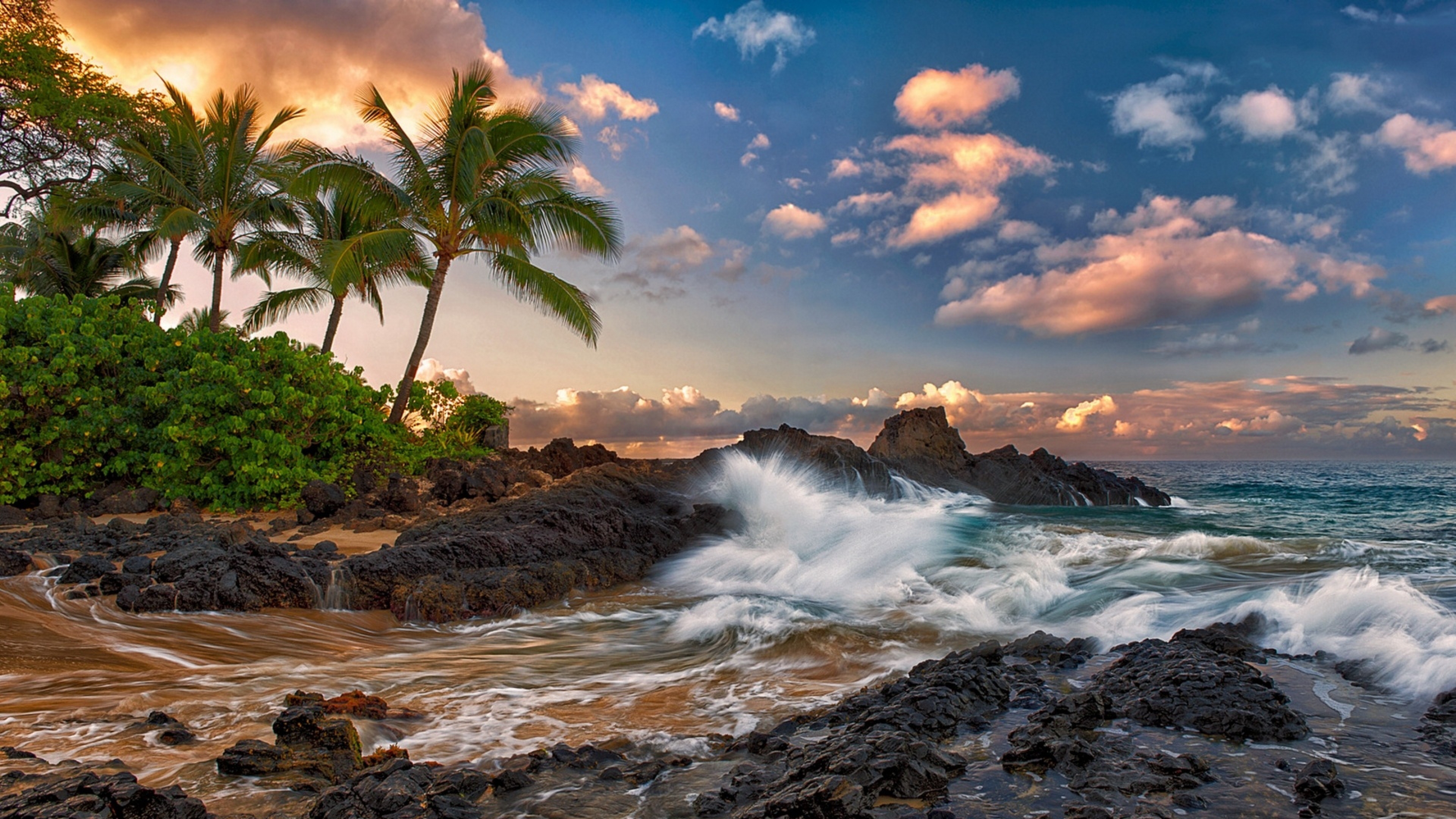 Tropical Landscape Ocean Palm Coast Rock Band The Sky ...