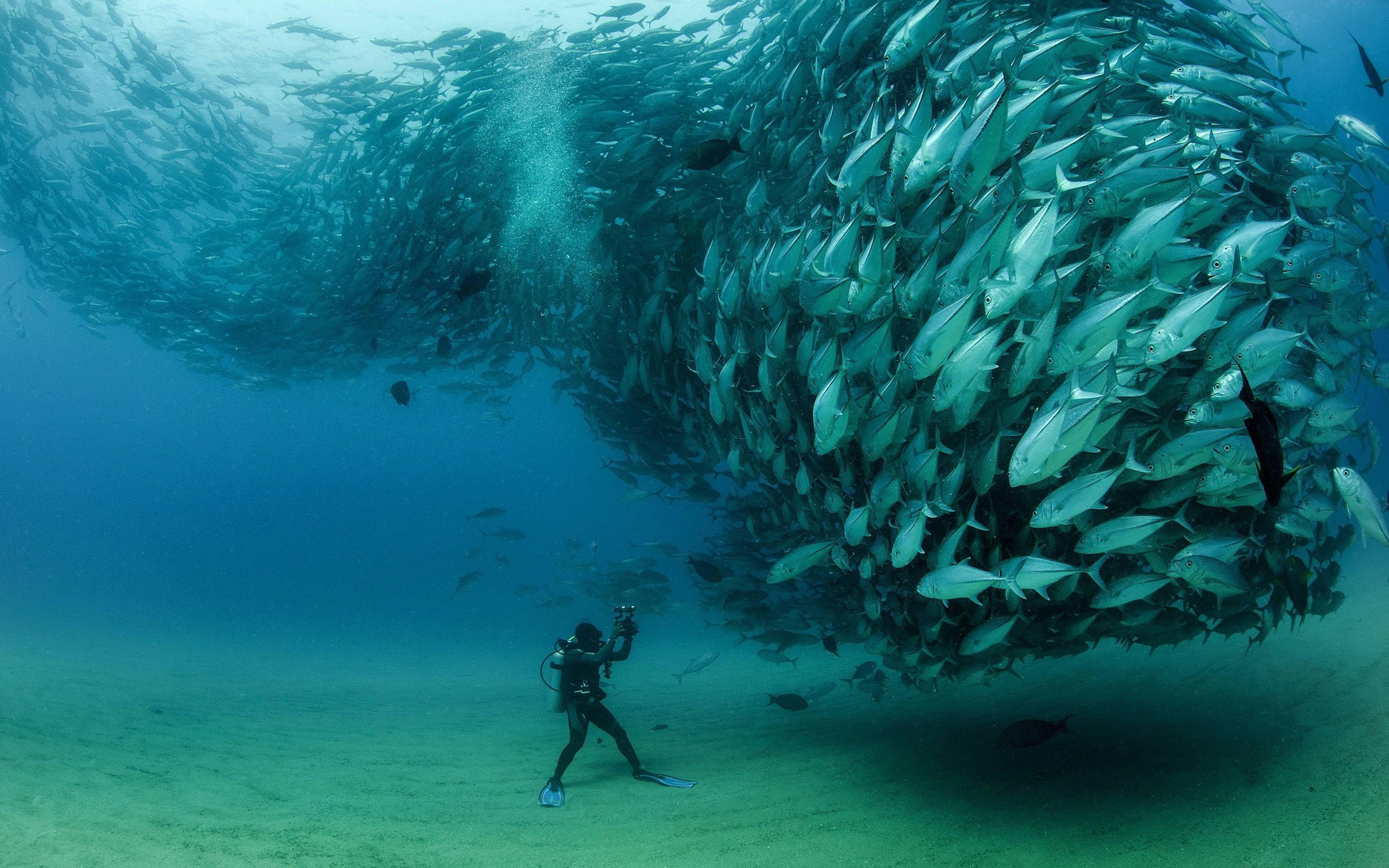 Underwater HD wallpaper