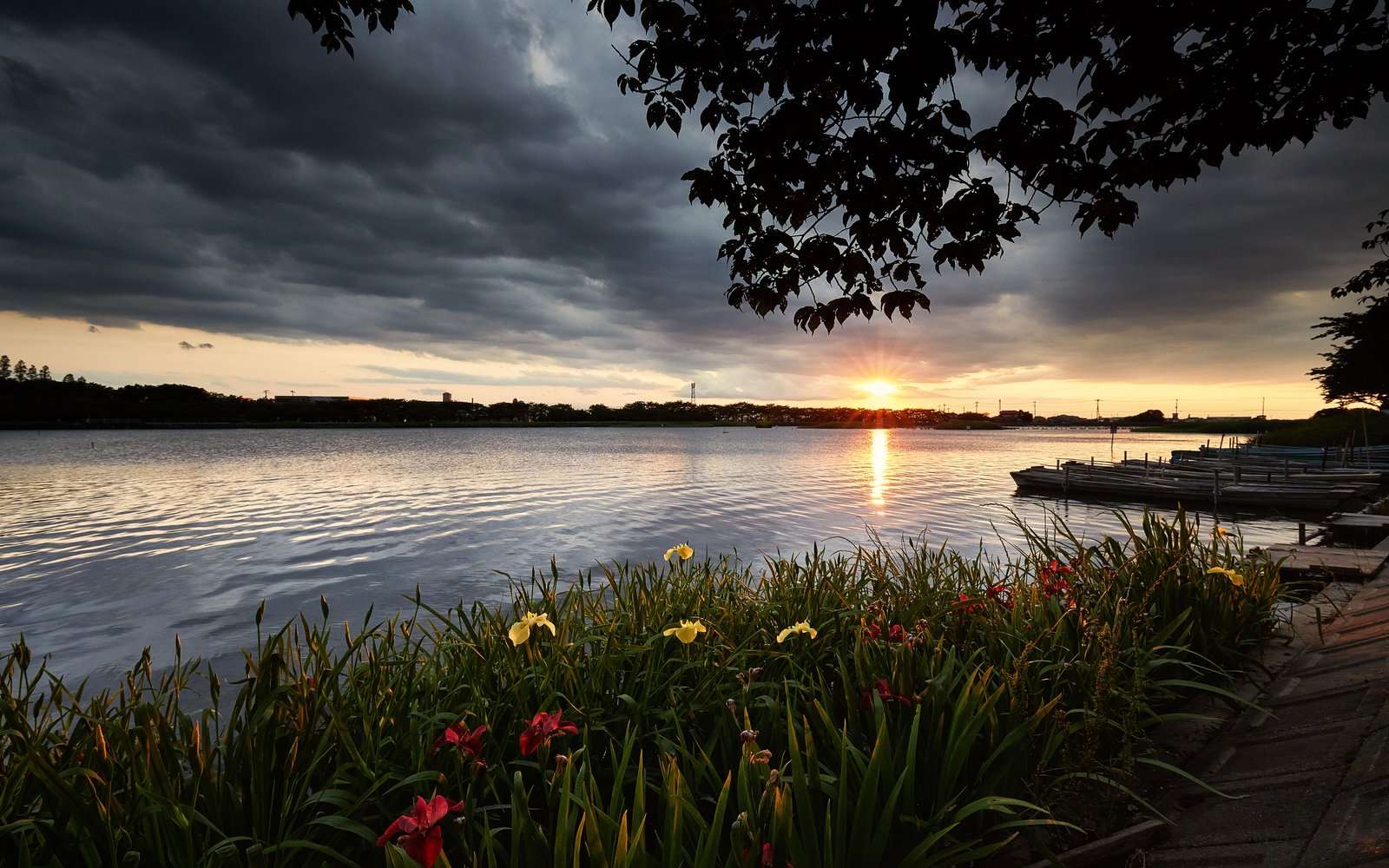 Landscape River Flowers Dark Clouds Isanuma Kawagoe Shi Saitama Japan