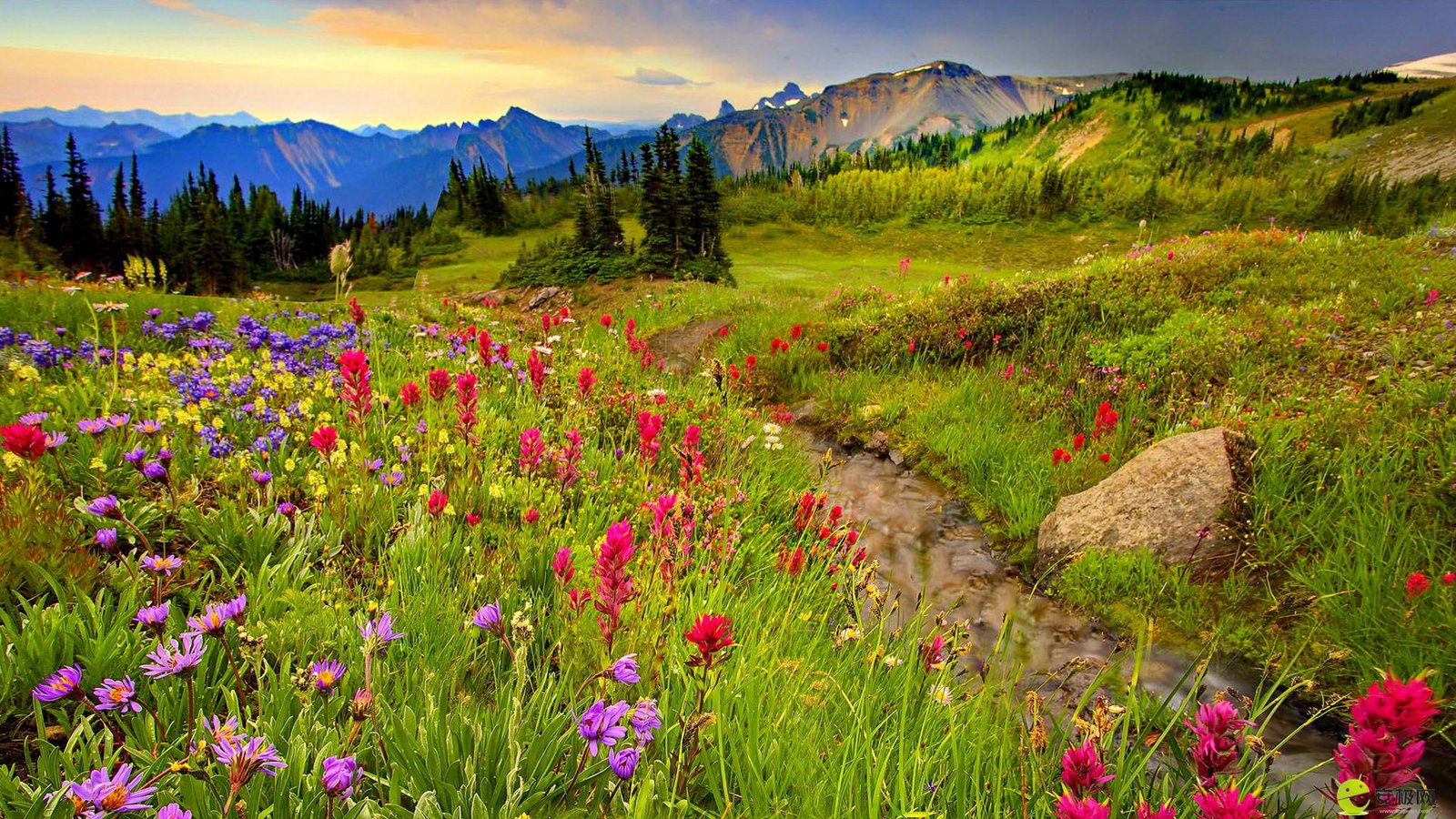 Meadow And Mountains Colorful Flowers Meadow With Grass Green Mountain