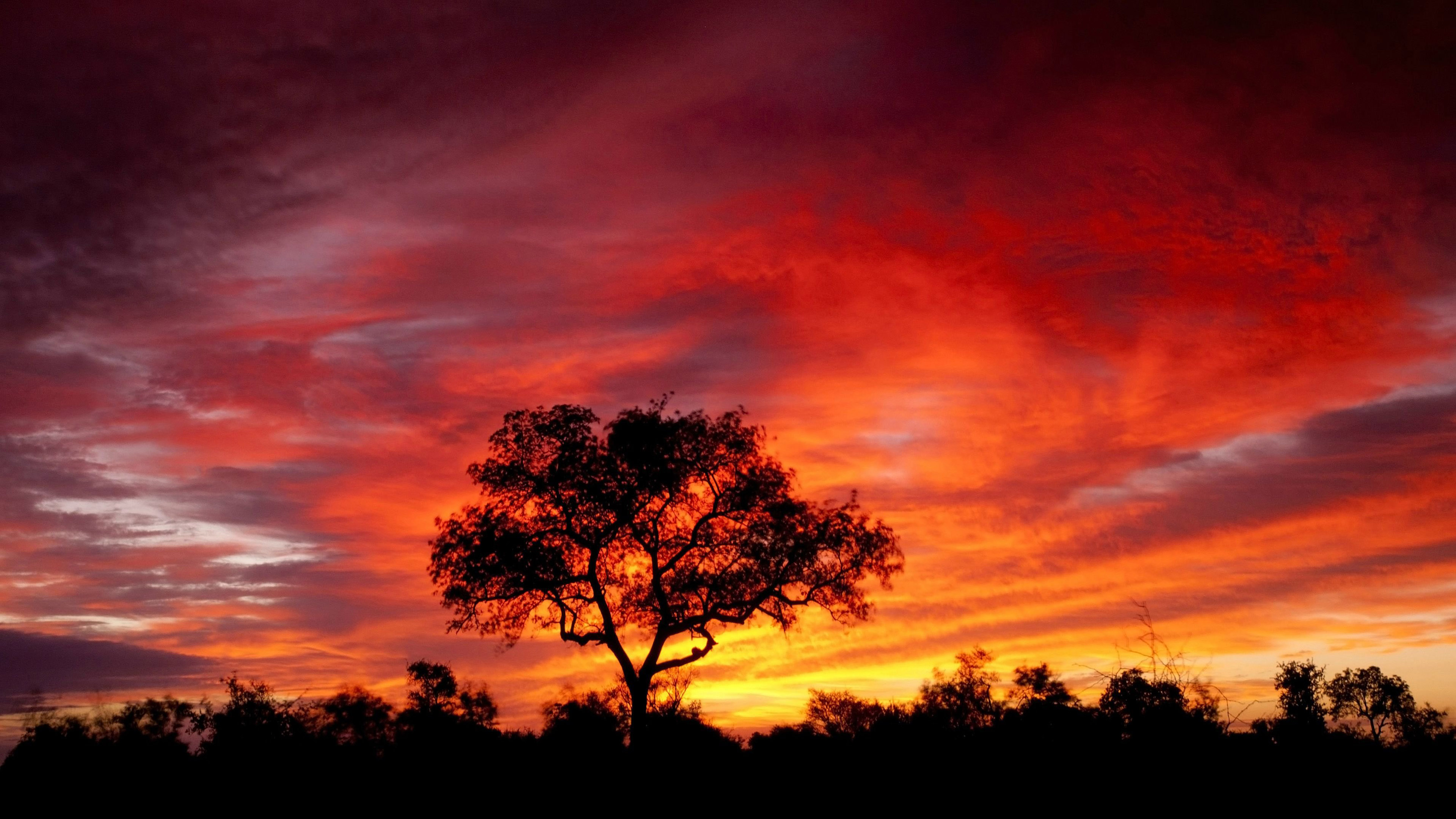 South Africa Savna Sky With Red Cloud Eclipse Sunset Desktop Wallpaper Hd Resolution Wallpapers13 Com
