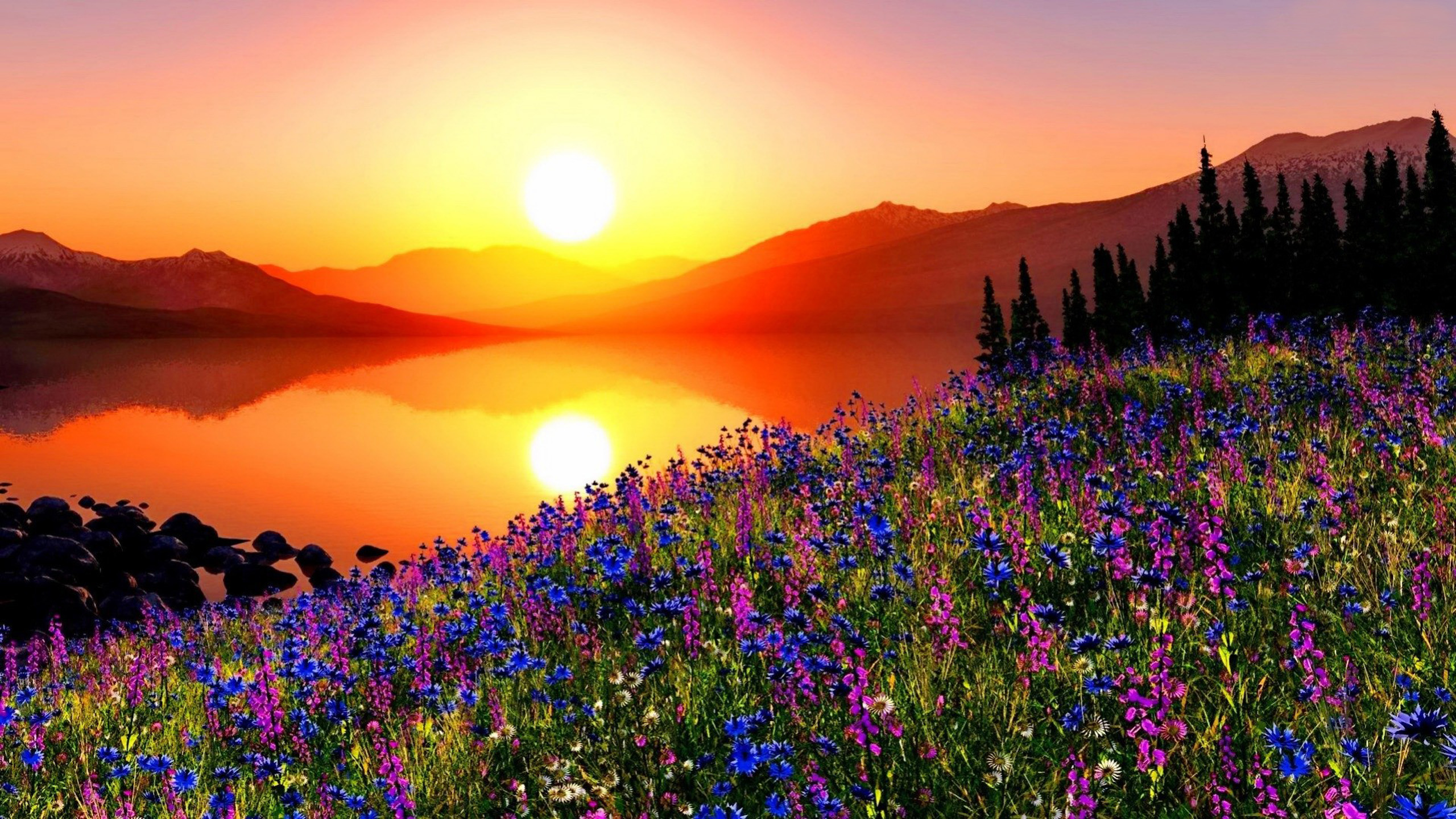 Sunset Mountain Meadow With Flowers, Pine Trees, Mountains, Sky