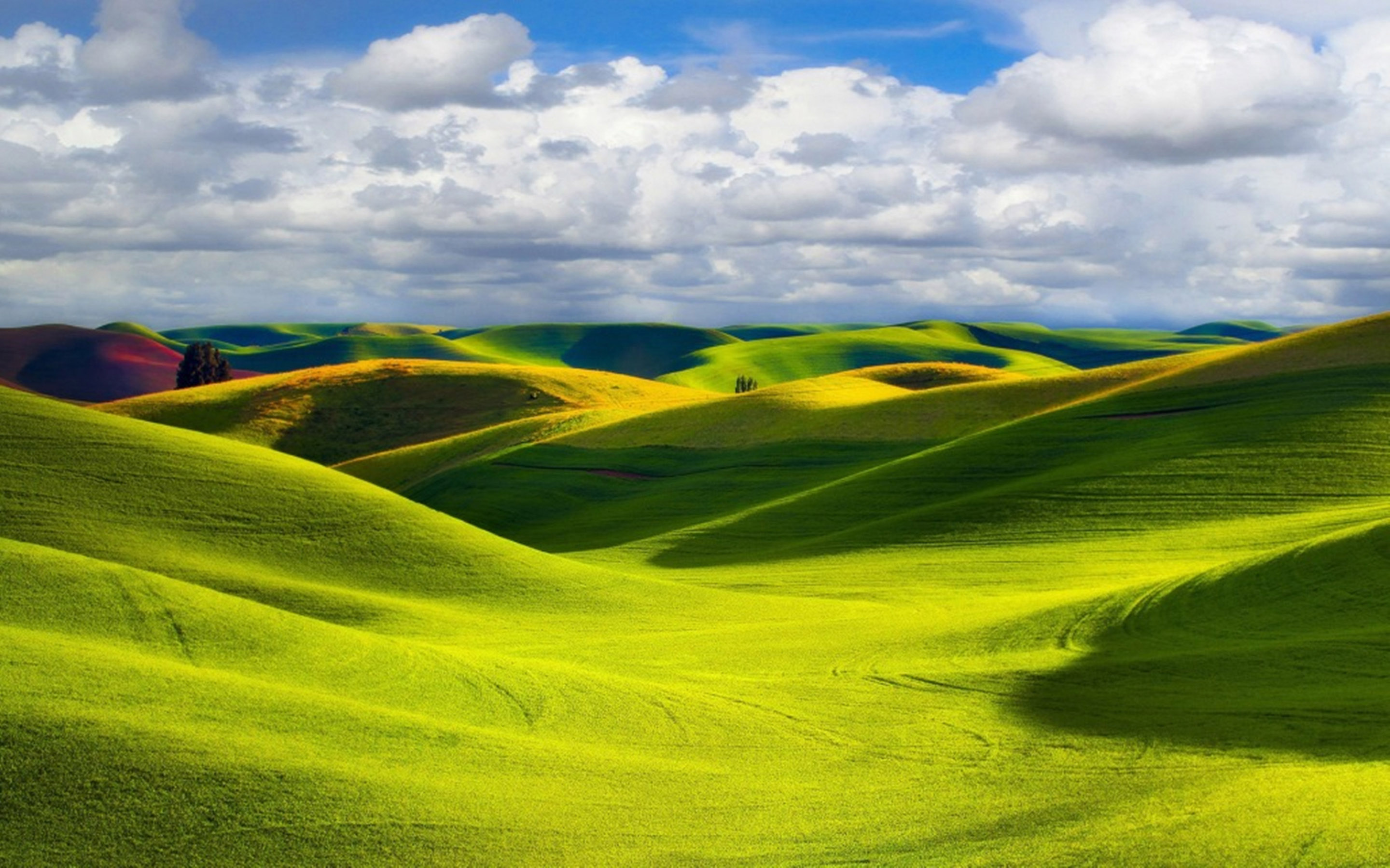 Желтые холмы. Паданская равнина Италия. Green Hills зеленые холмы Ирландии. Зеленые холмы 212525. Холмистая равнина.