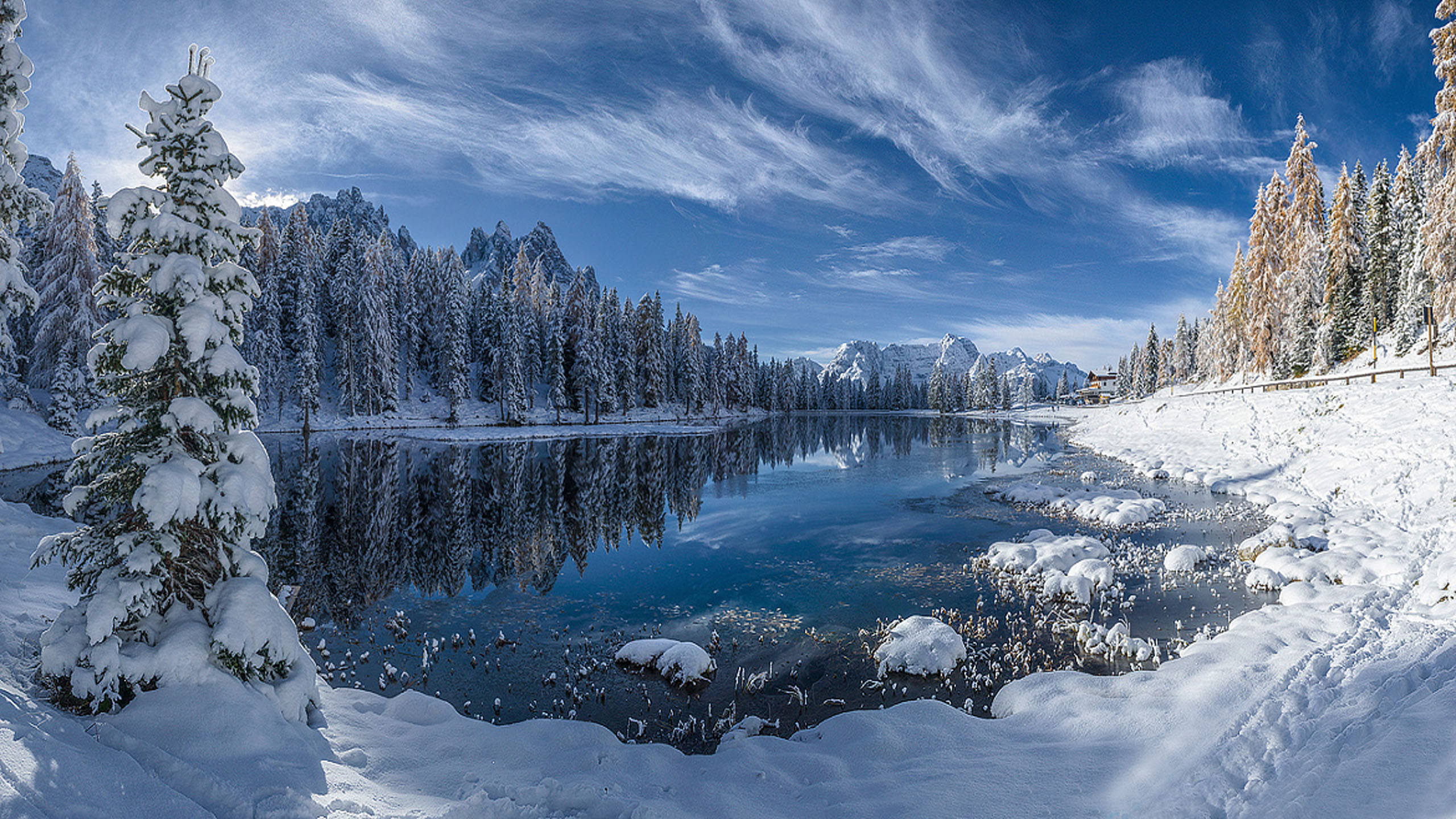 Winter Landscape Lake Reflection Pine Forest Trees With Snow White