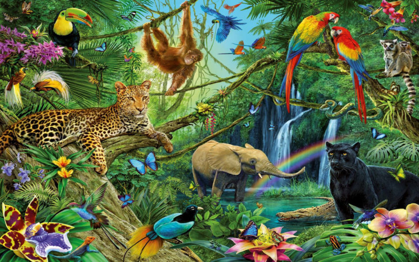 Animal Kingdom Dwellers Of The Jungle Desktop Backgrounds Free Download For  Windows : 