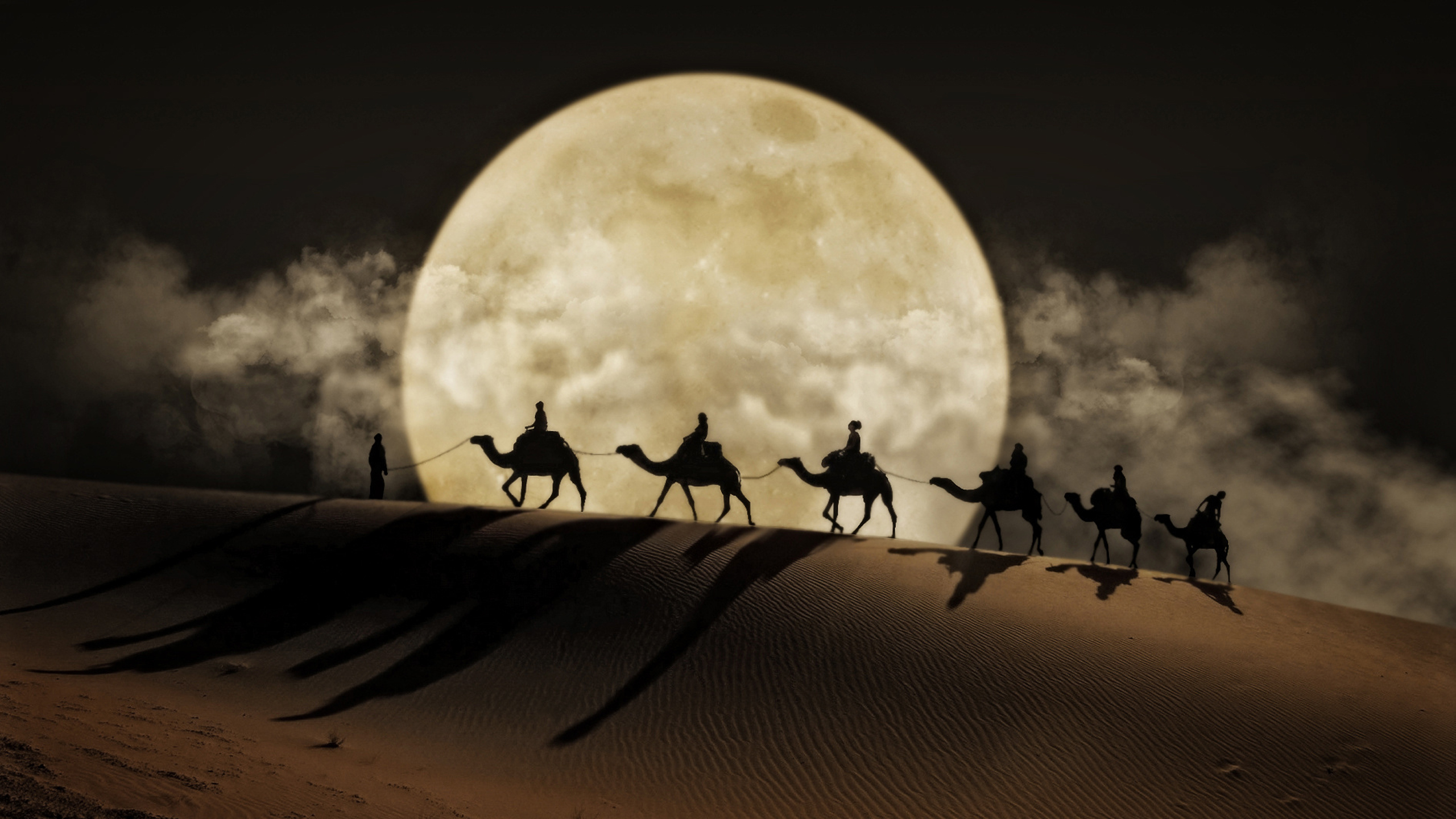 Desert Moon Camel Art Desktop Wallpaper Hd For Mobile Phones And