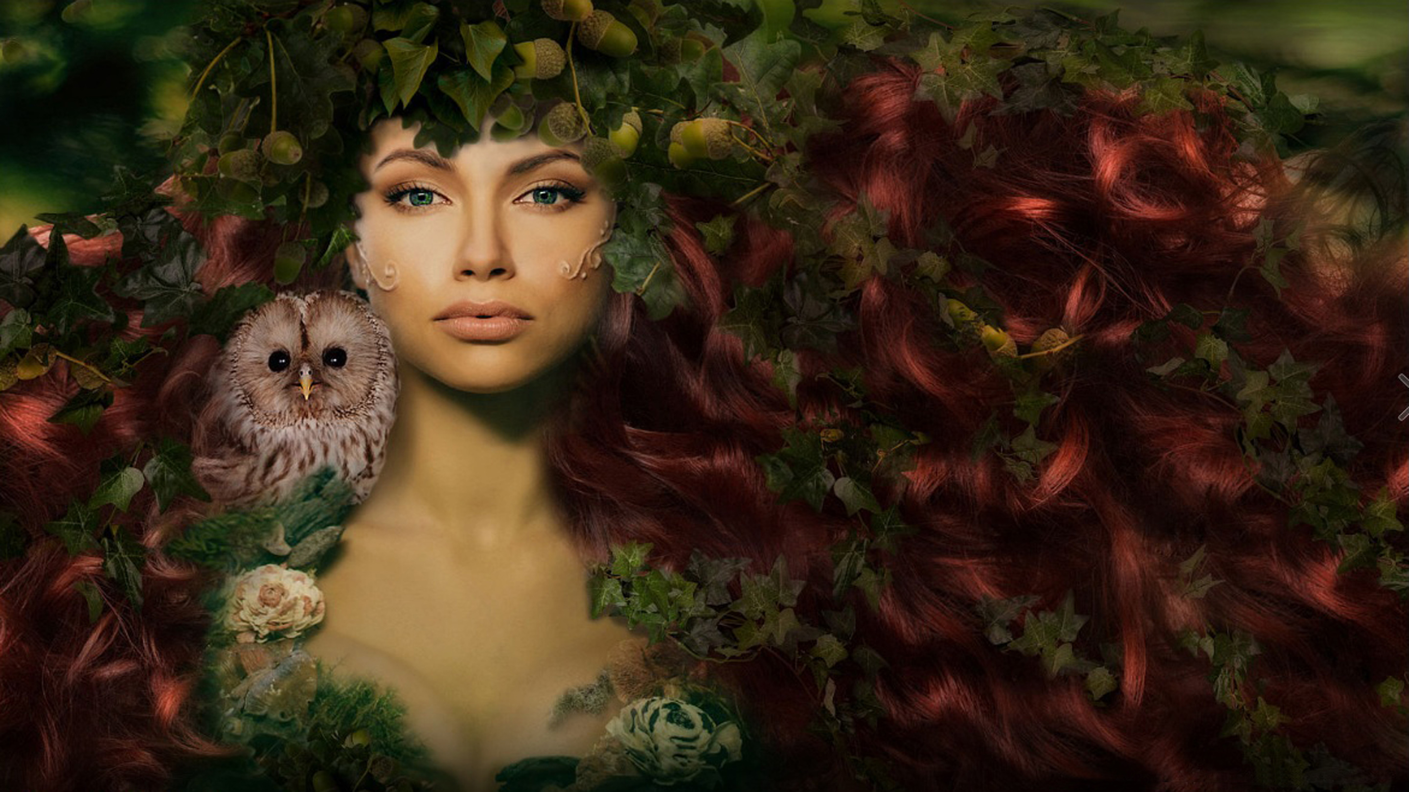 Lady Green Tree Leaves Red Hair Owl Fantasy Art Hd Wallpaper