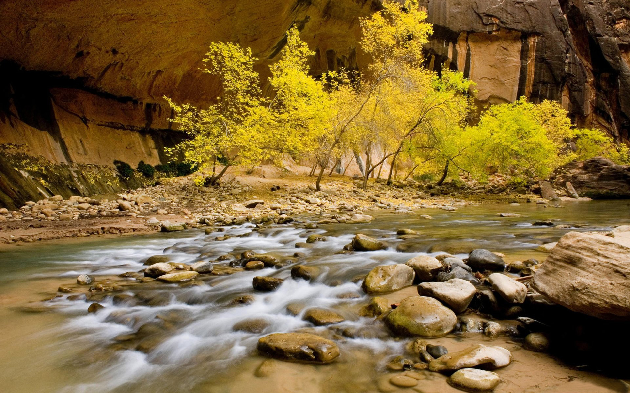 Nature River Riverbed Stones Rocks Willow With Green ...