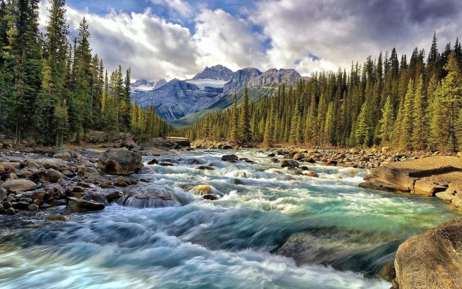 Alberta Canada Rocky Mountain River Riverbed With Rocks Pine Forest