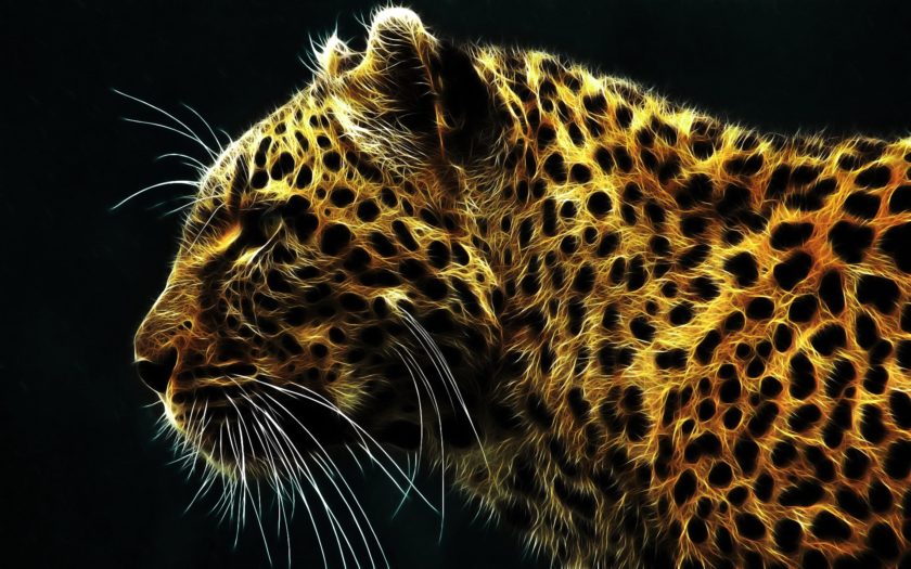 Animals Leopard Fire Desktop Hd Wallpaper 1920x1200 : 
