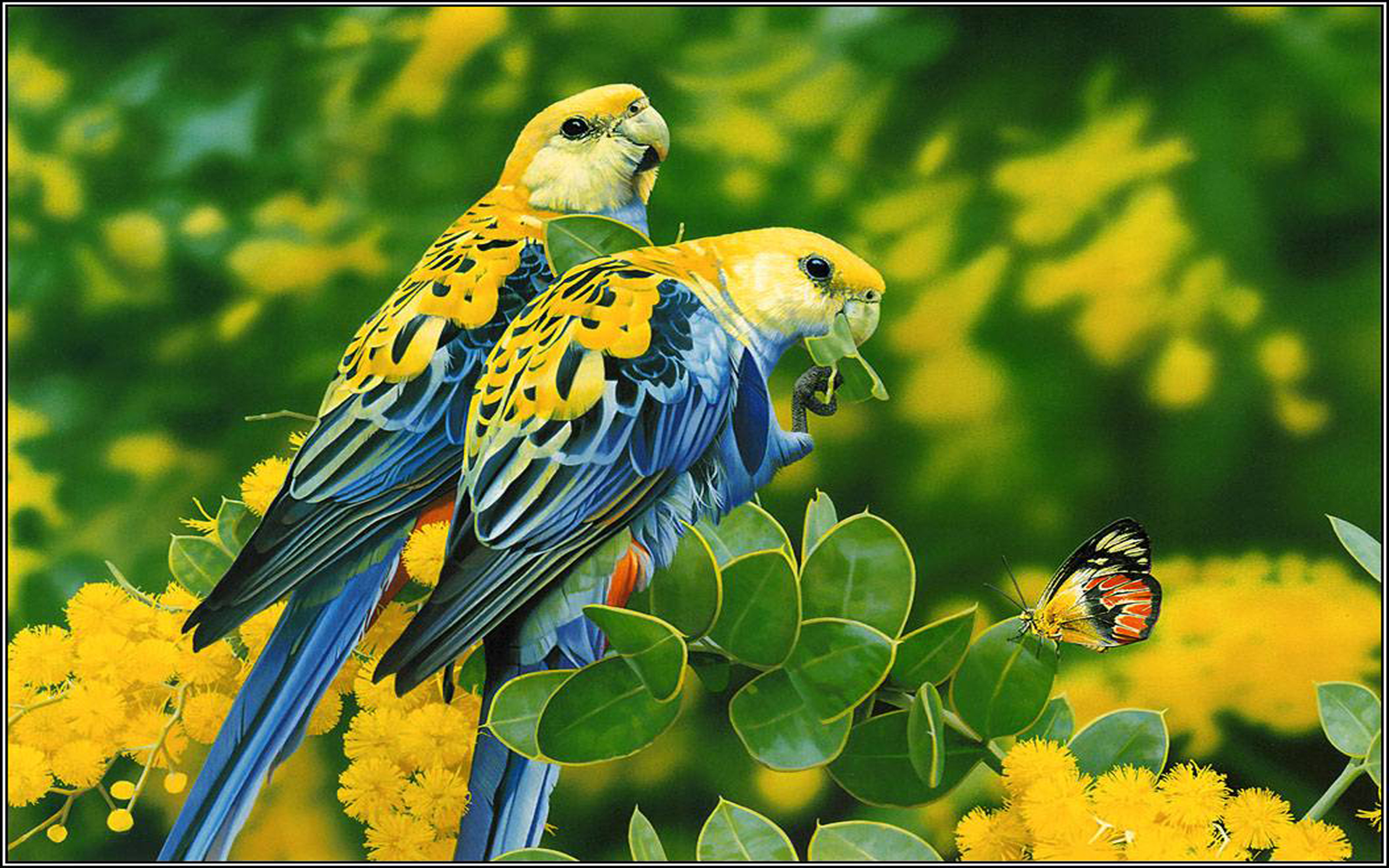 Birds Blue Yellow Parrots Butterfly Tree With Yellow Flowers And Green