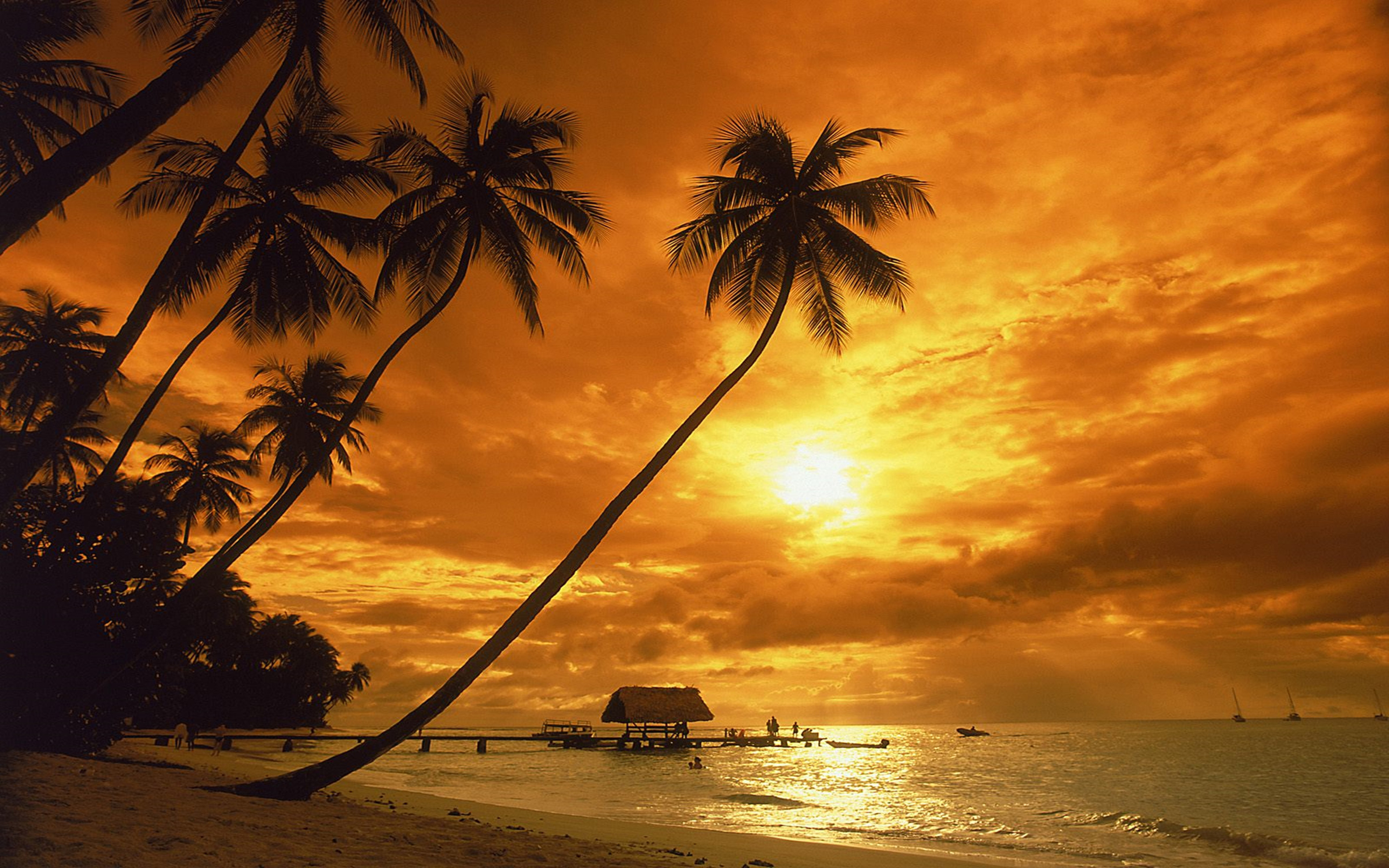 Costa Rica Sunset Red Sky Sandy Beach Palm Hd Desktop ...