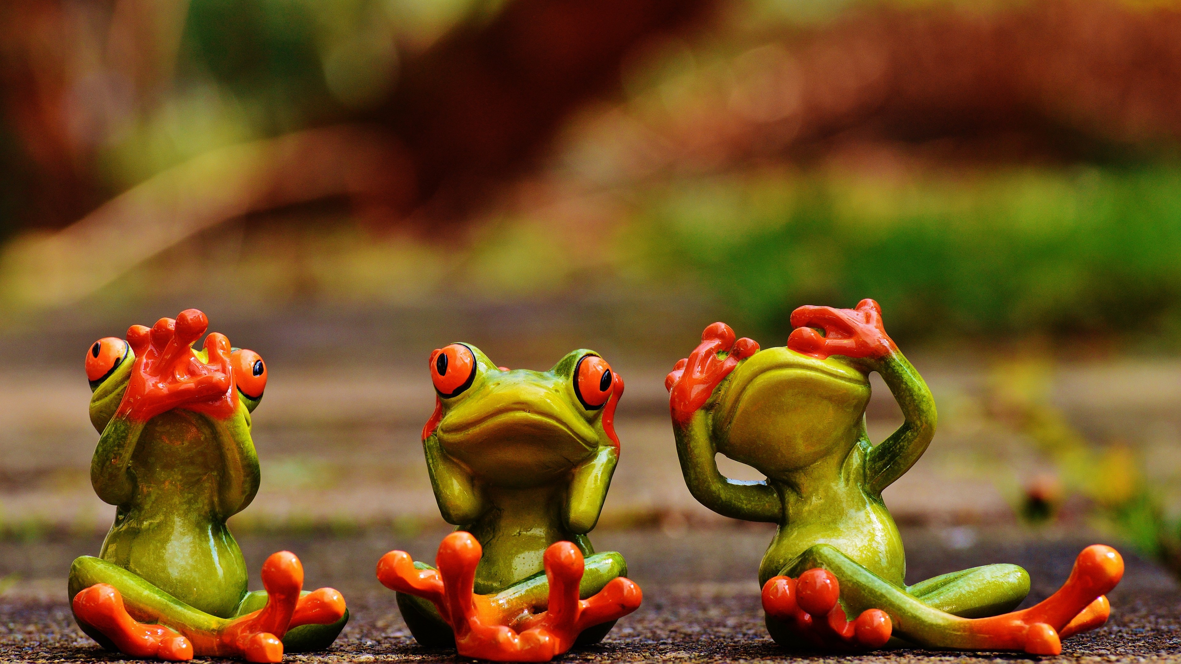 Cute Green Frogs With Red Eyes 3 D Wallpaper Hd 3840x2160
