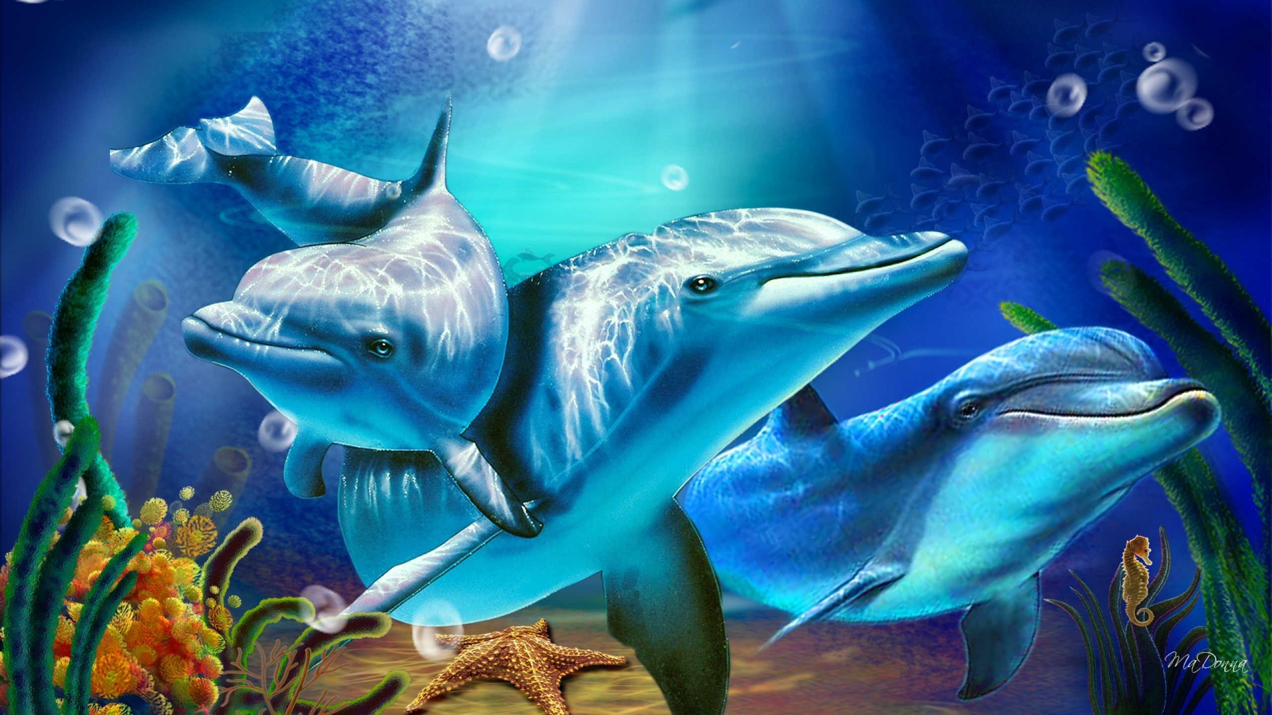 Движущиеся обои на заставку. Подводный мир дельфины. Красивые дельфины. Фотообои дельфины. Заставка на рабочий стол подводный мир.