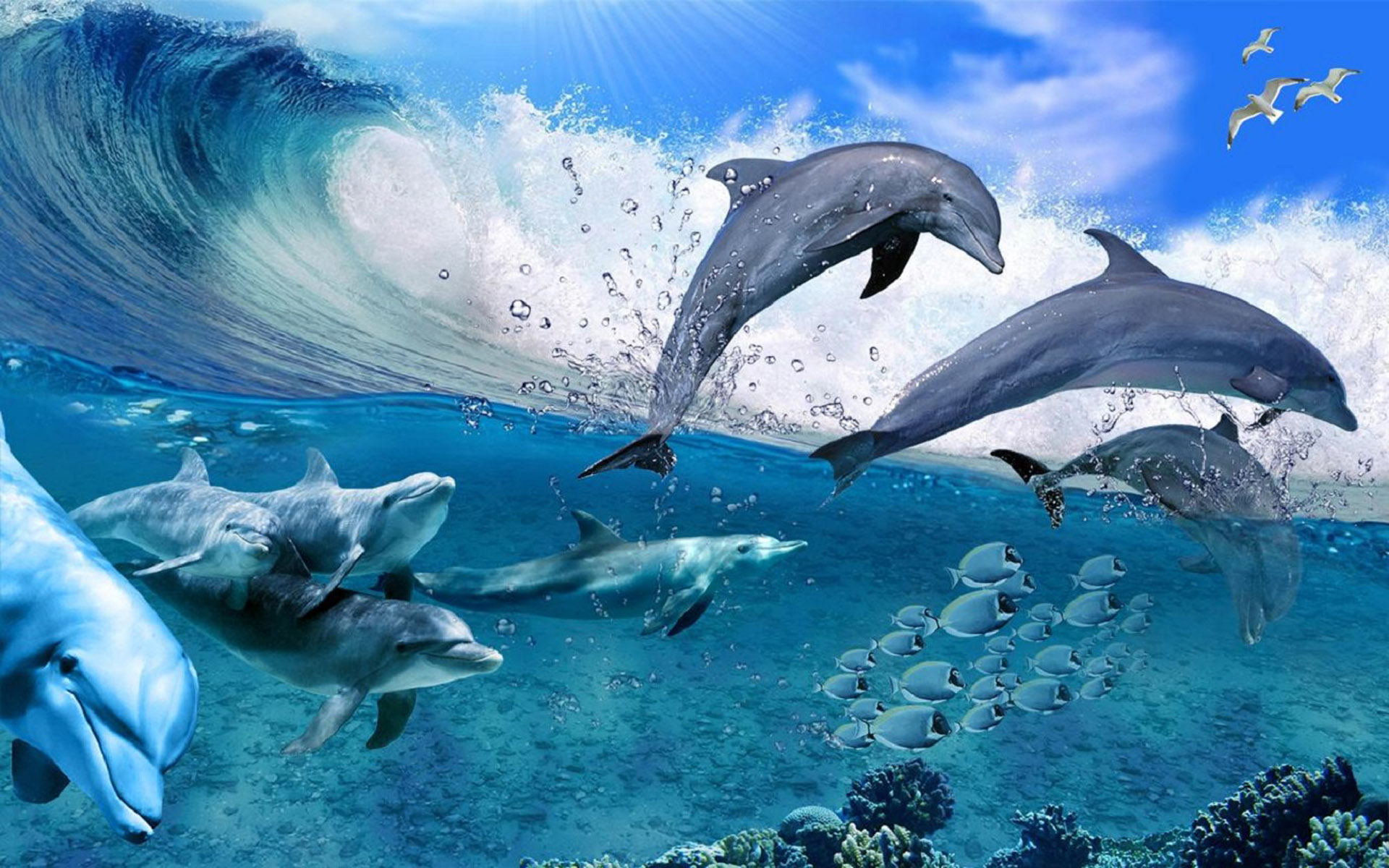 Happy Dolphins Game Sea Fish Coral Waves, Summer Wallpaper Hd For
