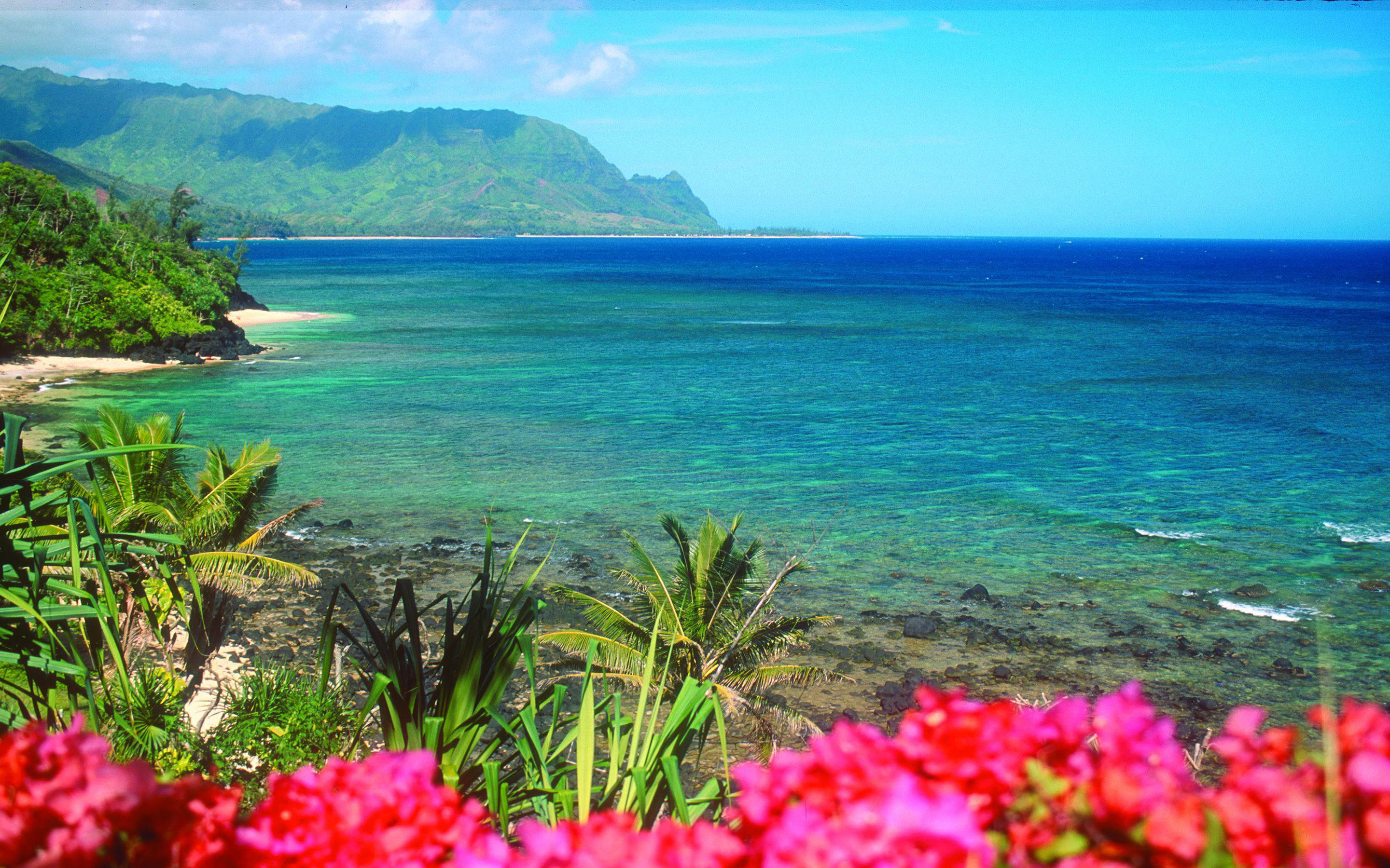 Море экзотика. Остров Кауаи, Гавайские острова. Штат Гавайи природа. Мауи Гавайи. Остров Мауи Гавайи фото.
