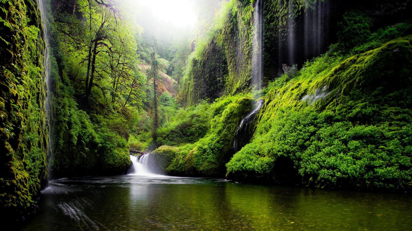 Spring Landscape Waterfall In Oregon Usa Nature River Water Trees Foliage Desktop