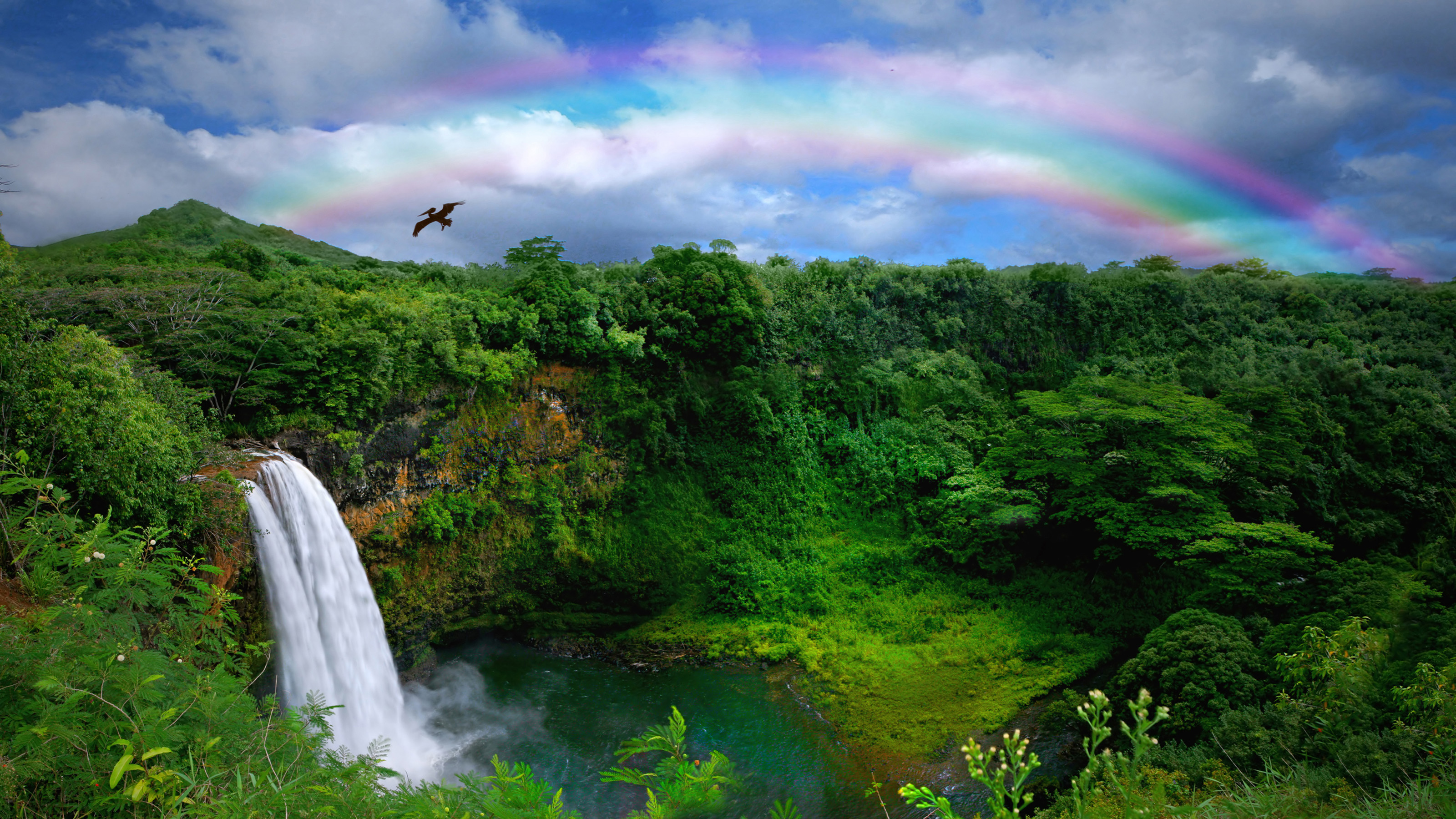 Top View Of A Beautiful Waterfall In Hawaii