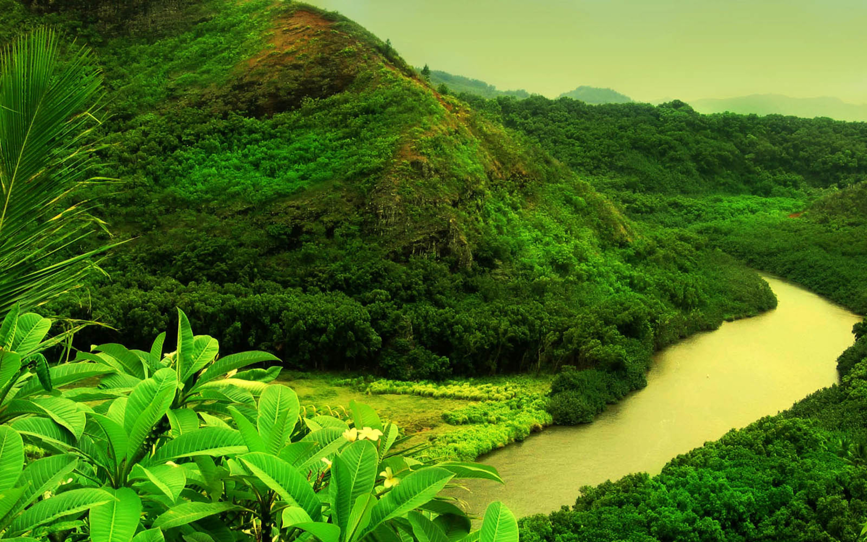 Wonderful Green Landscape, Tropical Green Vegetation River Mountains With T...