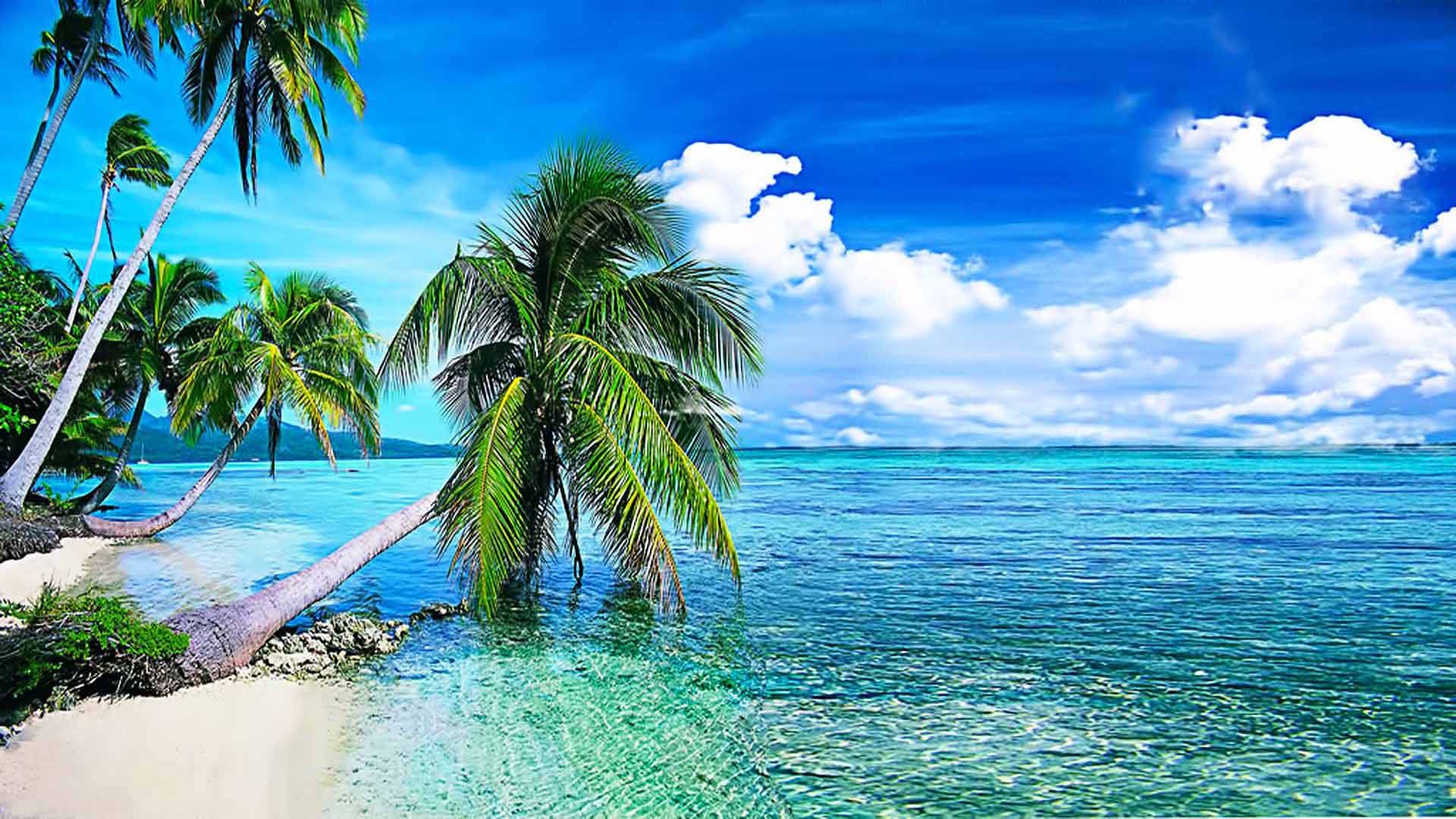 Summer Background, Tropical Beach With  With Crystal Clear Water  And White Clouds In The Sky Desktop Wallpaper Download Free 1920x1200 :  