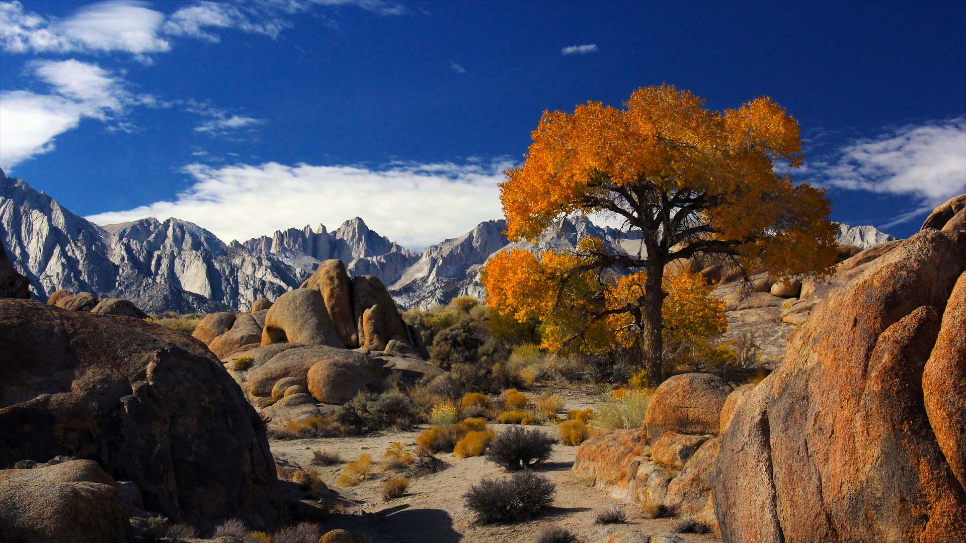 Autumn In Alabama Hills With Mount Whitney The Highest Peak In The