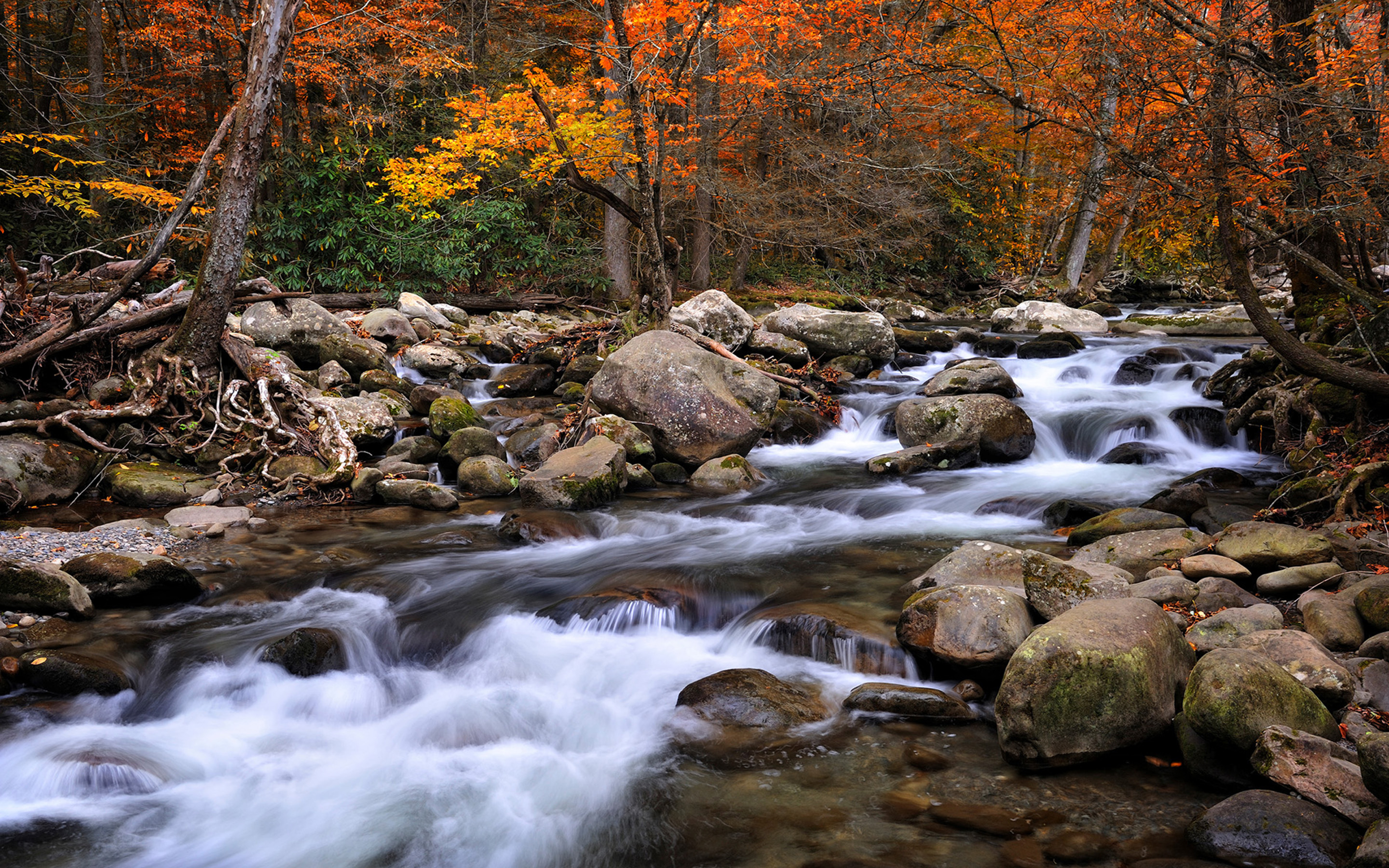 Beautiful-National-Parks-in-America-Great-Smoky-Mountains-National-Park