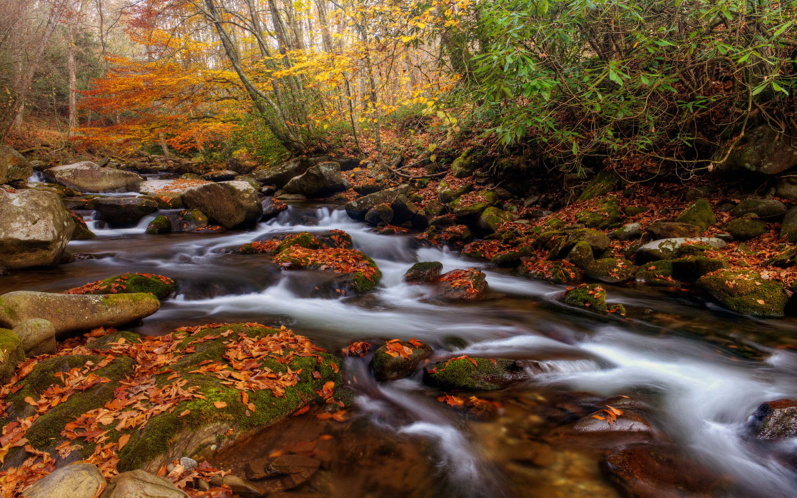 Great Smoky Mountains National Park Is Americas Oconaluftee River In